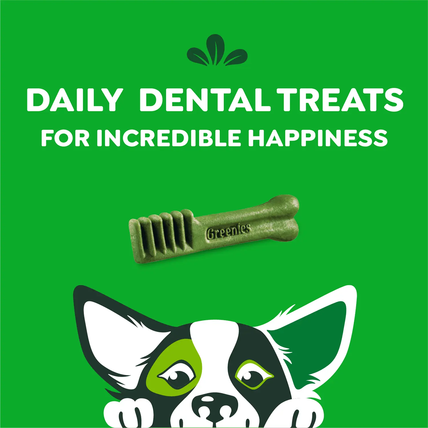 Greenies Original Dog Dental Treats Petite 27-oz 45 Count - Image 4