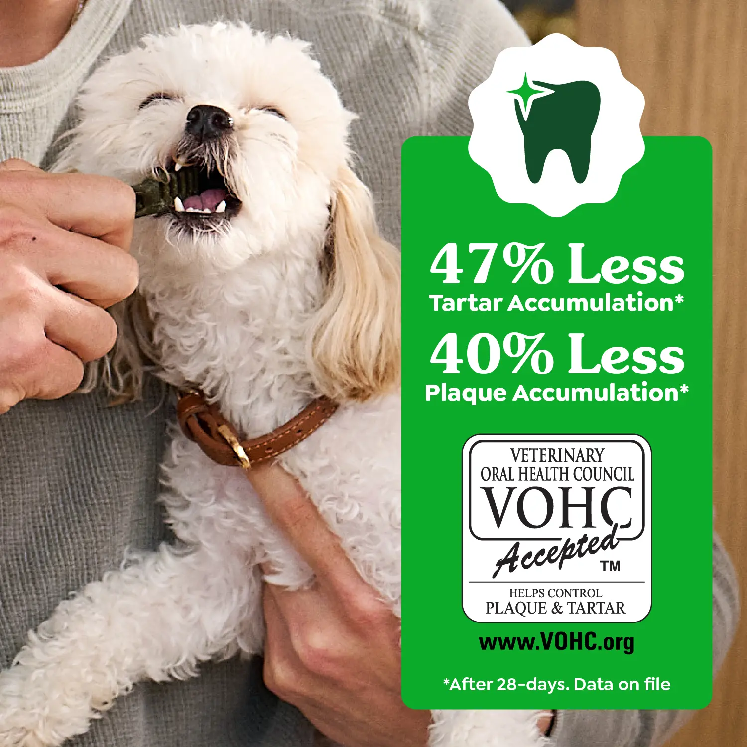 Greenies Original Dog Dental Treats Regular 3-oz 3 Count - Image 9