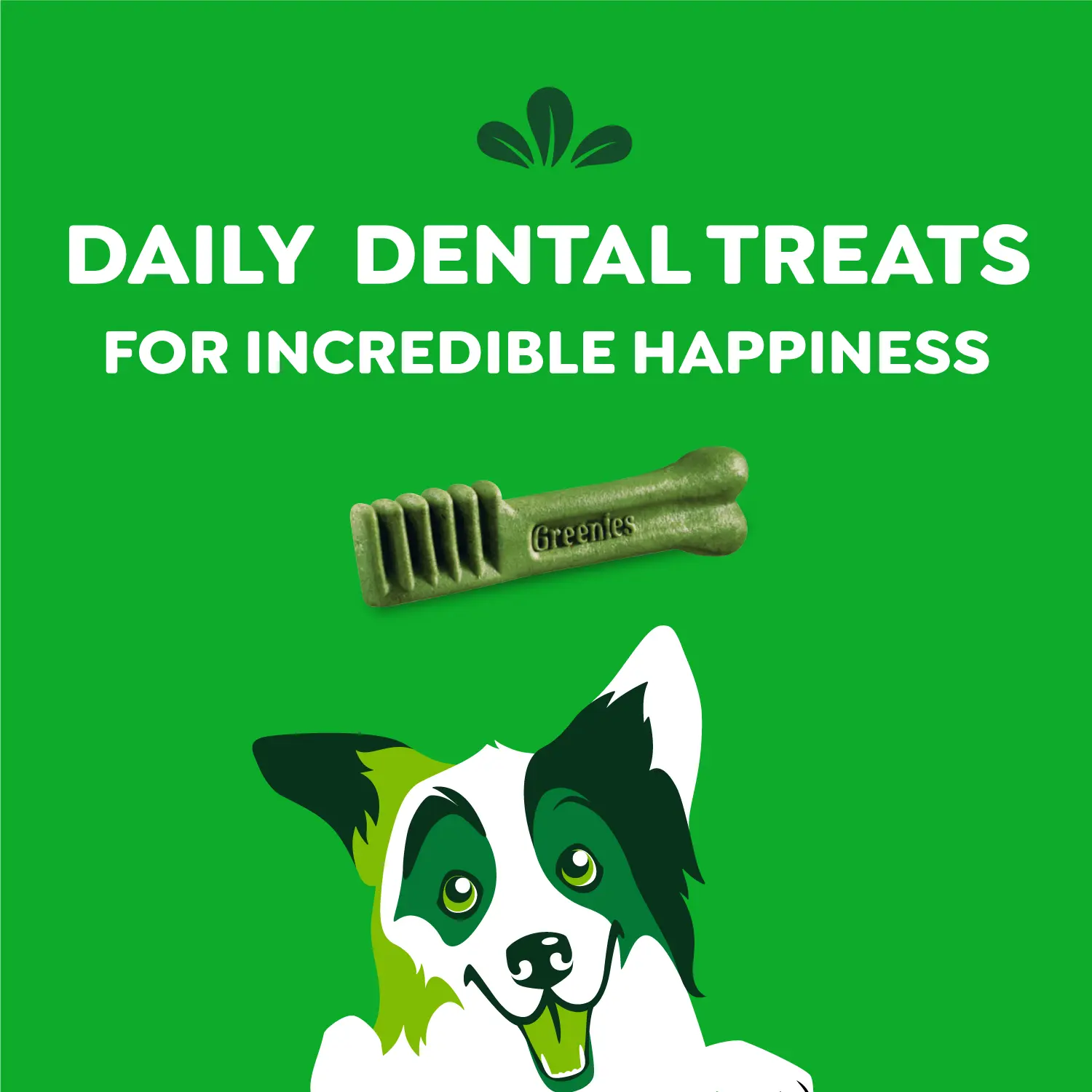 Greenies Original Dog Dental Treats Regular 36-oz 36 Count - Image 4