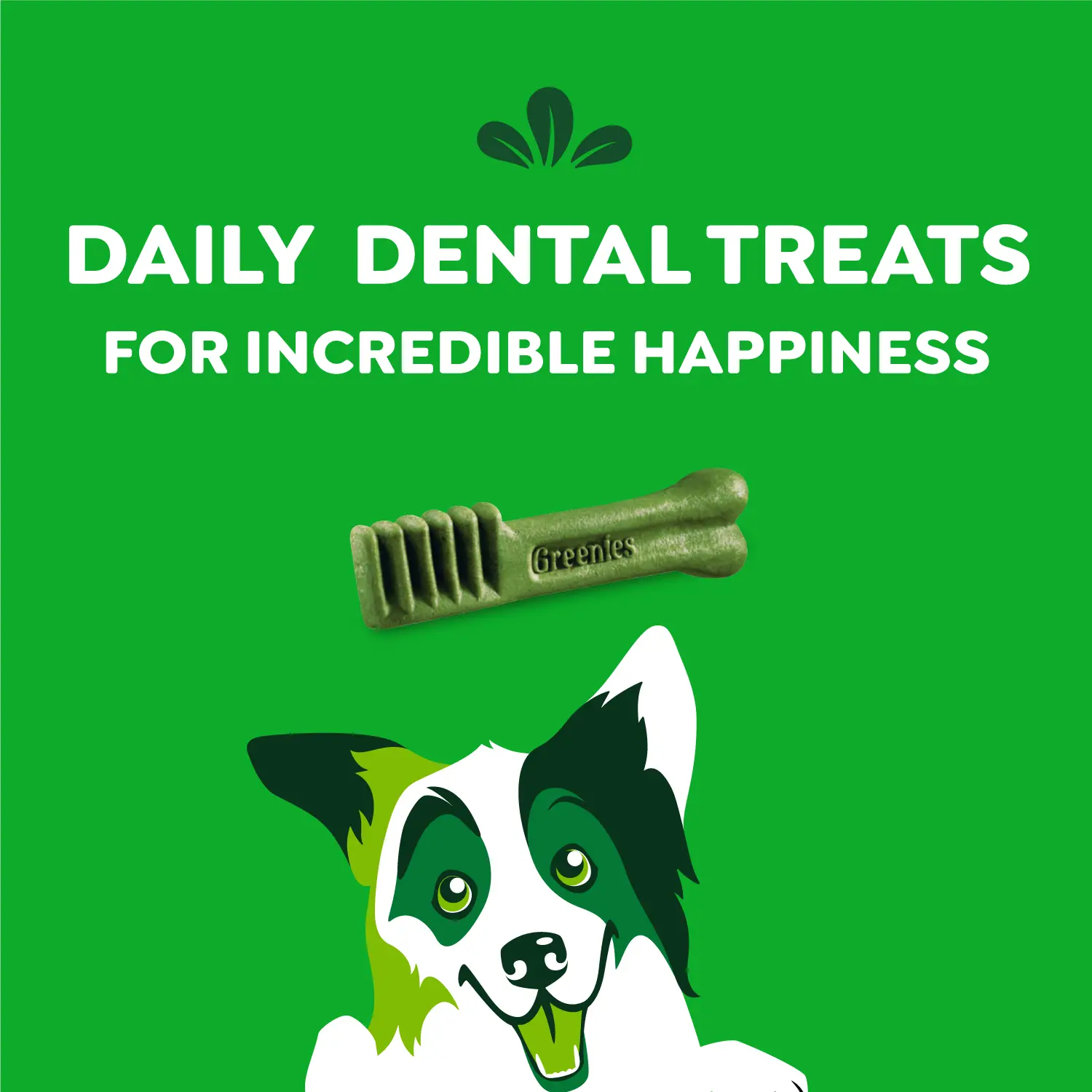 Greenies Original Dog Dental Treats Regular 6-oz 6 Count - Image 4
