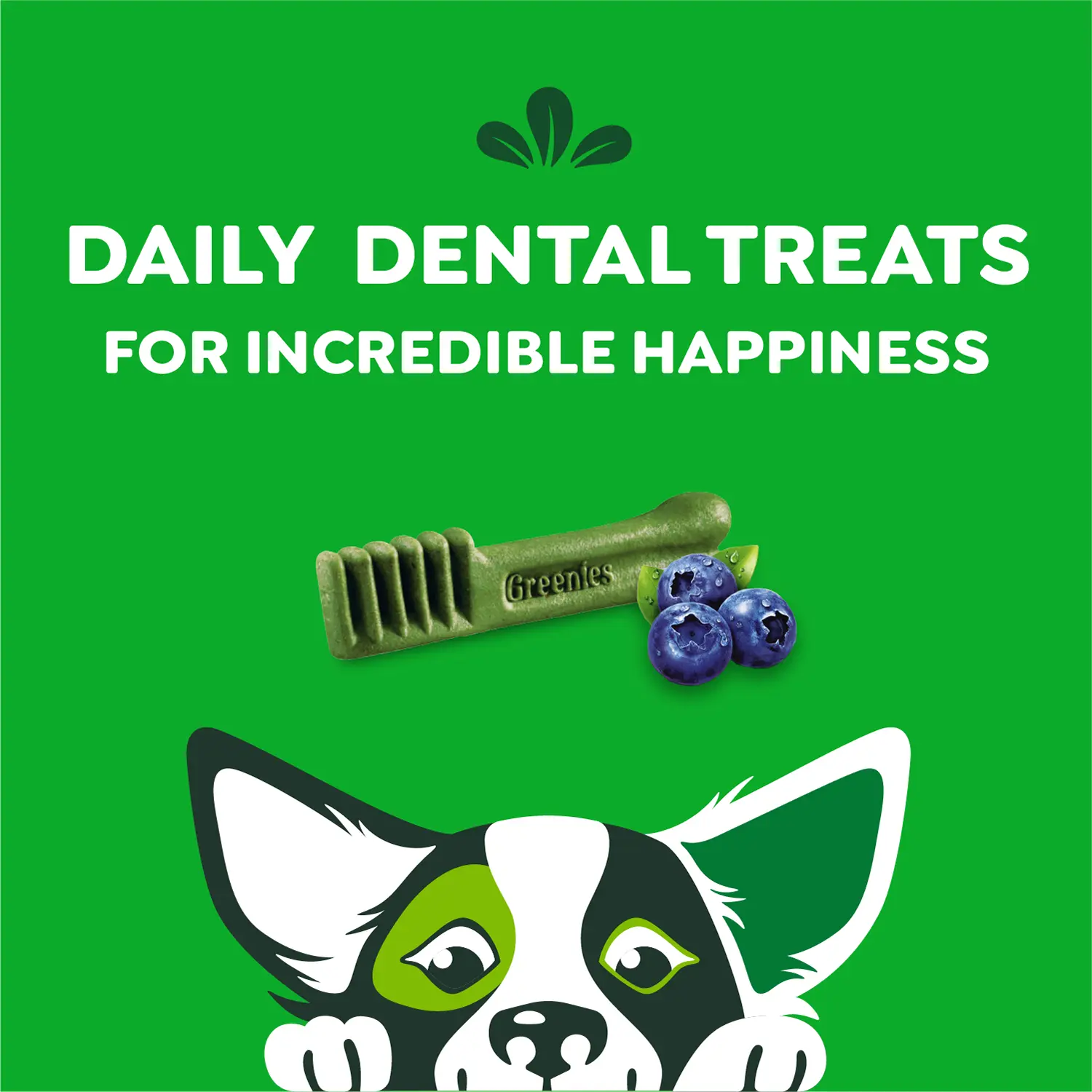 Greenies Blueberry Dog Dental Treats Petite 12-oz 20 Count - Image 4