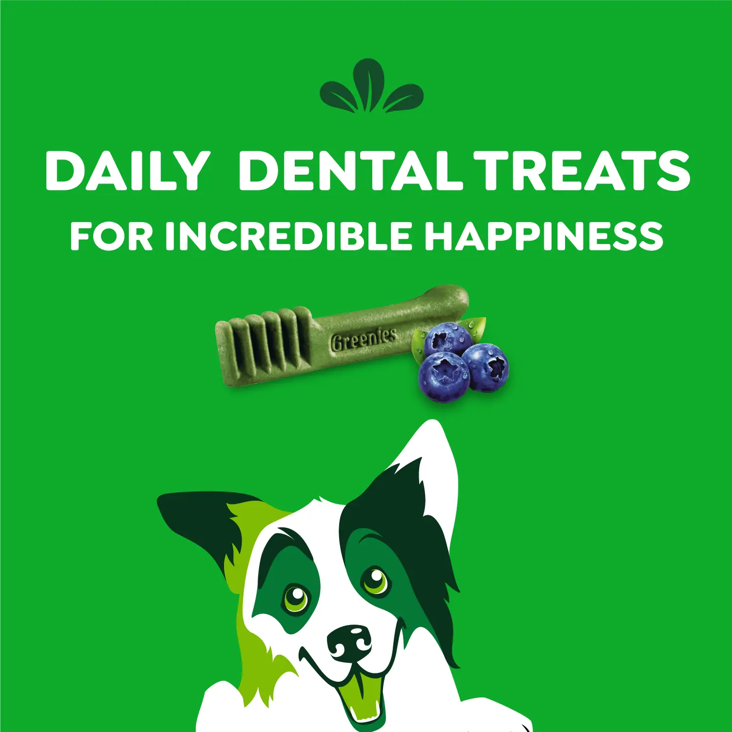 Greenies Blueberry Dog Dental Treats Regular 12-oz 12 Count - Image 4