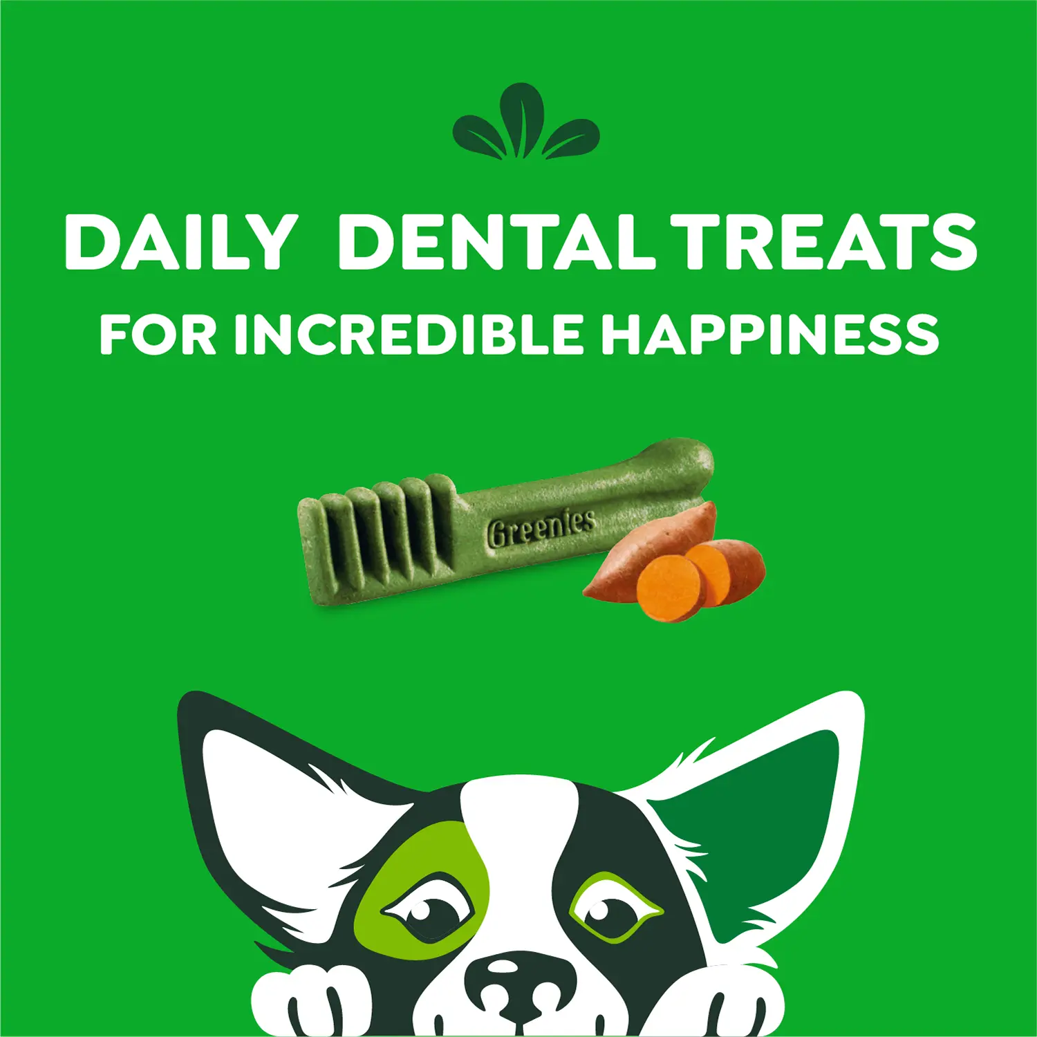 Greenies Sweet Potato Dog Dental Treats Petite 12-oz 20 Count - Image 4