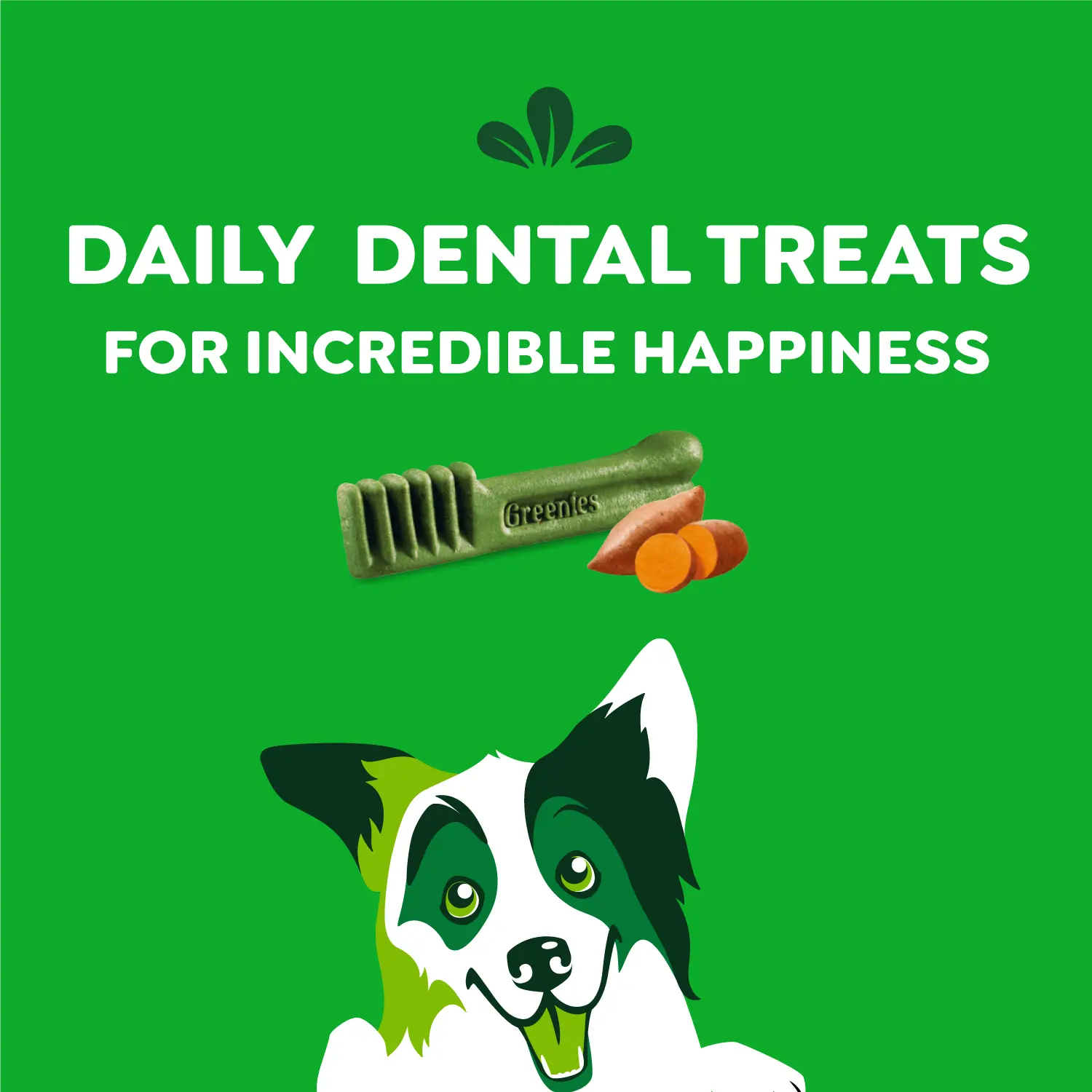 Greenies Sweet Potato Dog Dental Treats Regular 12-oz 12 Count - Image 4