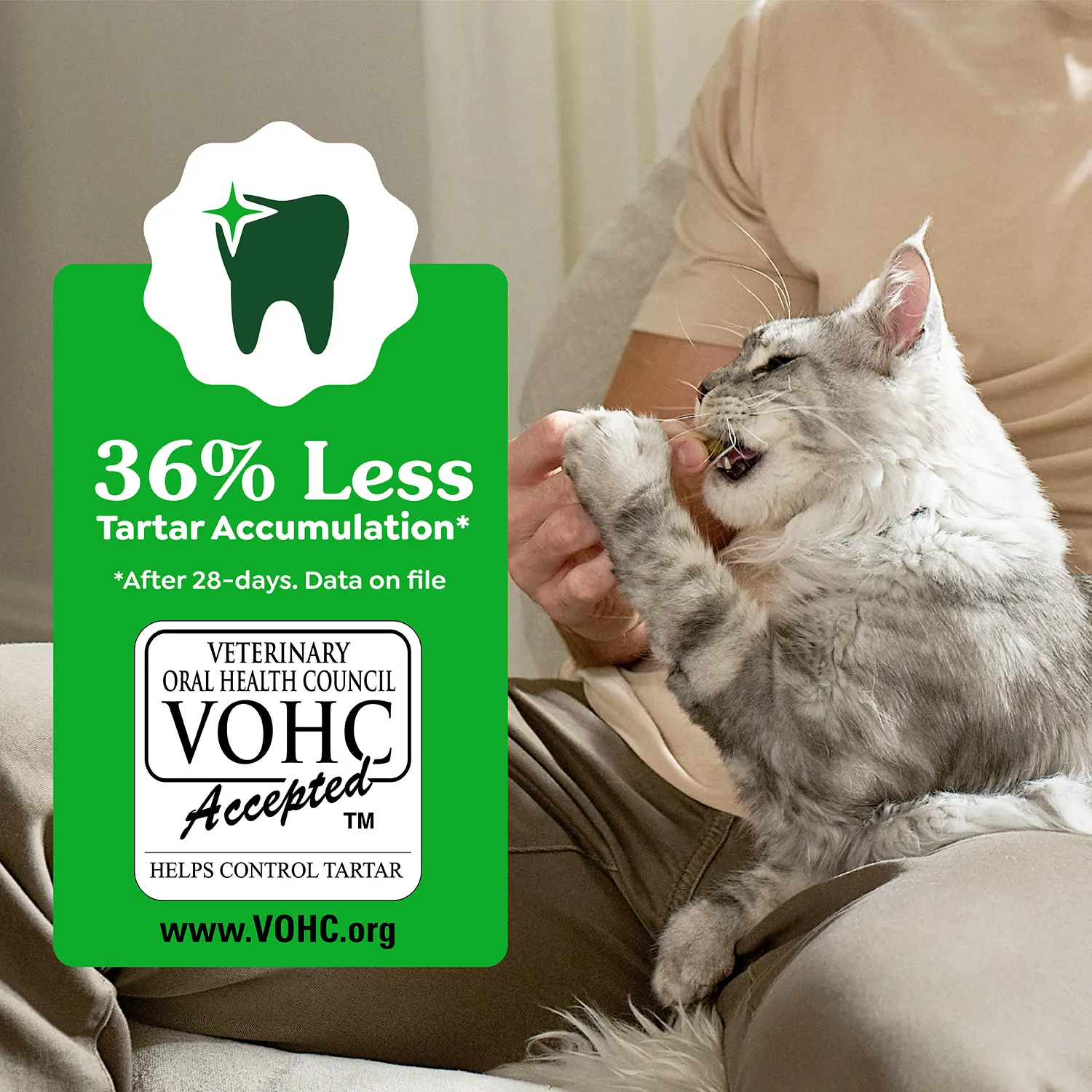 Greenies Feline Catnip Adult Cat Dental Treats 2.1-oz - Image 9