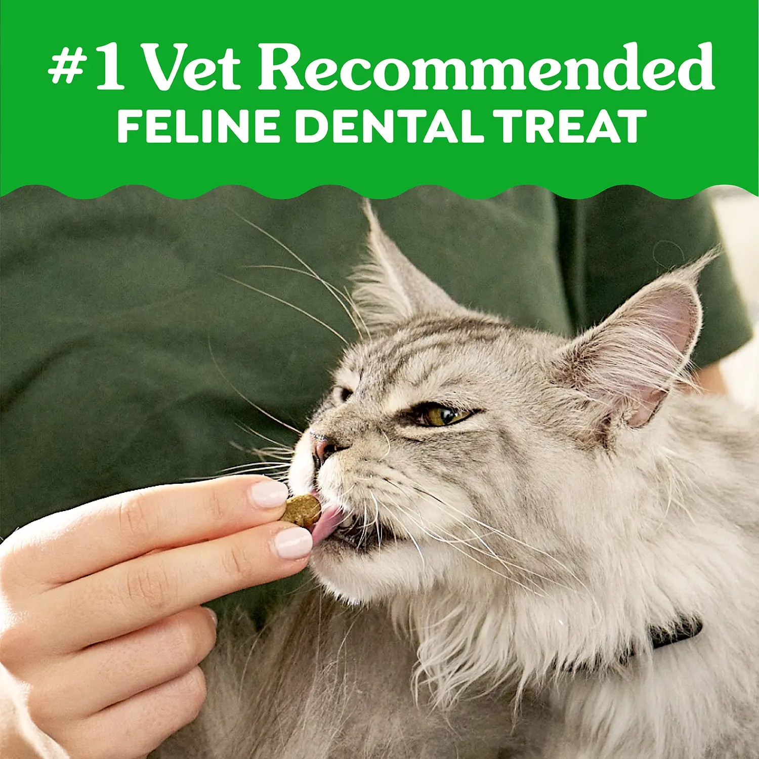 Greenies Feline Savory Salmon Adult Cat Dental Treats 2.1-oz - Image 10