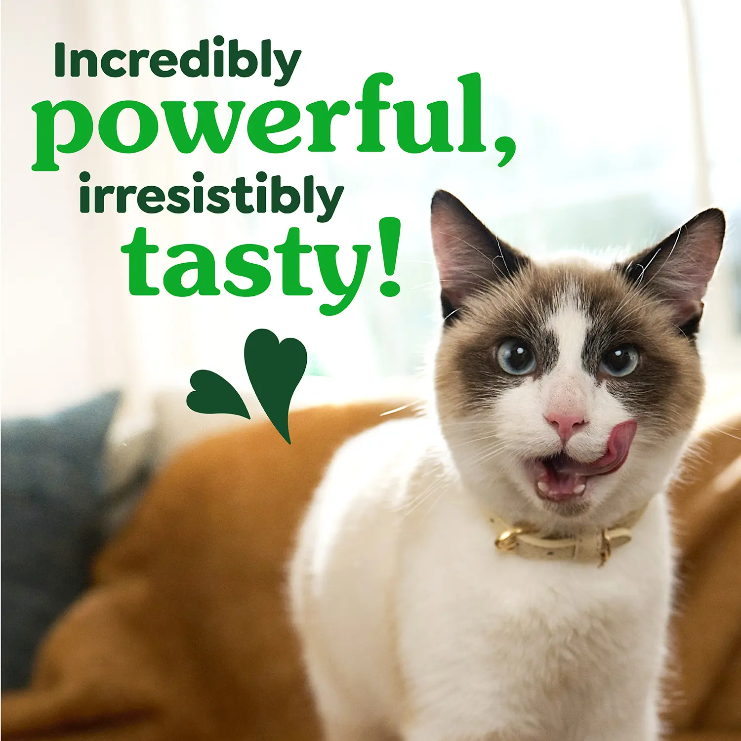Greenies Feline Savory Salmon Adult Cat Dental Treats 9.75-oz - Image 11