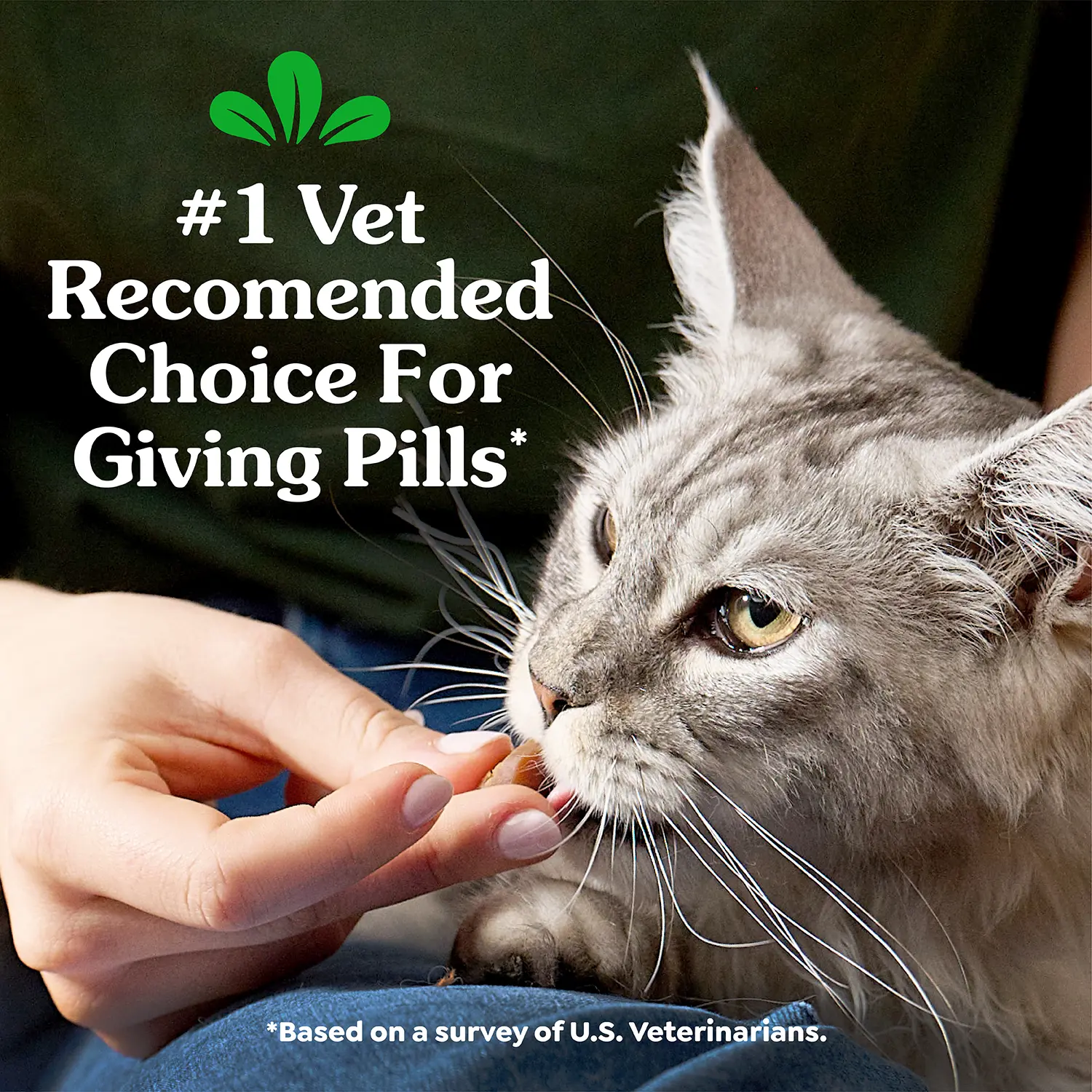 Greenies Feline Pill Pockets Cat Treats Catnip 1.6-oz 45 Count - Image 15