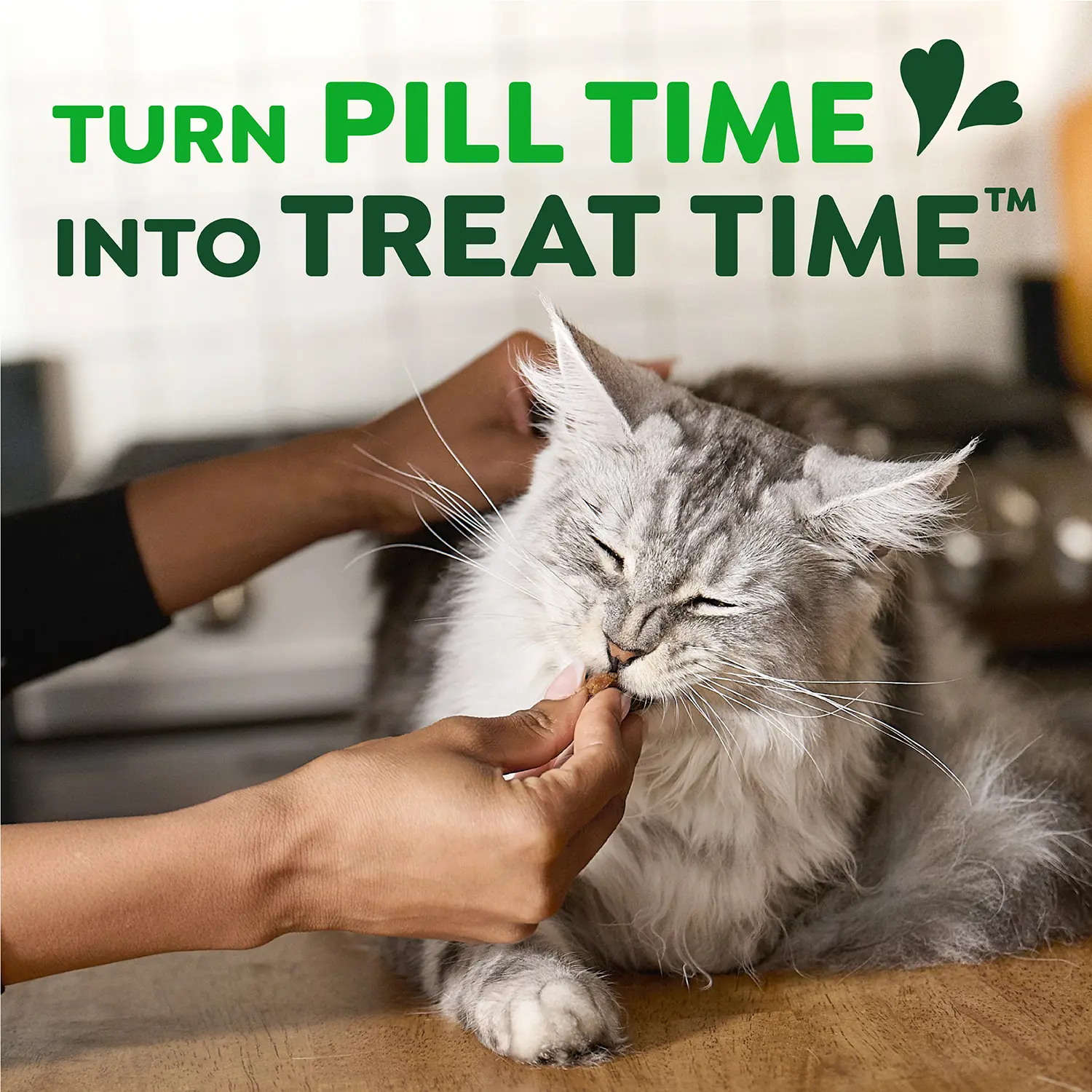 Greenies Feline Pill Pockets Cat Treats Salmon 1.6-oz 45 Count - Image 14