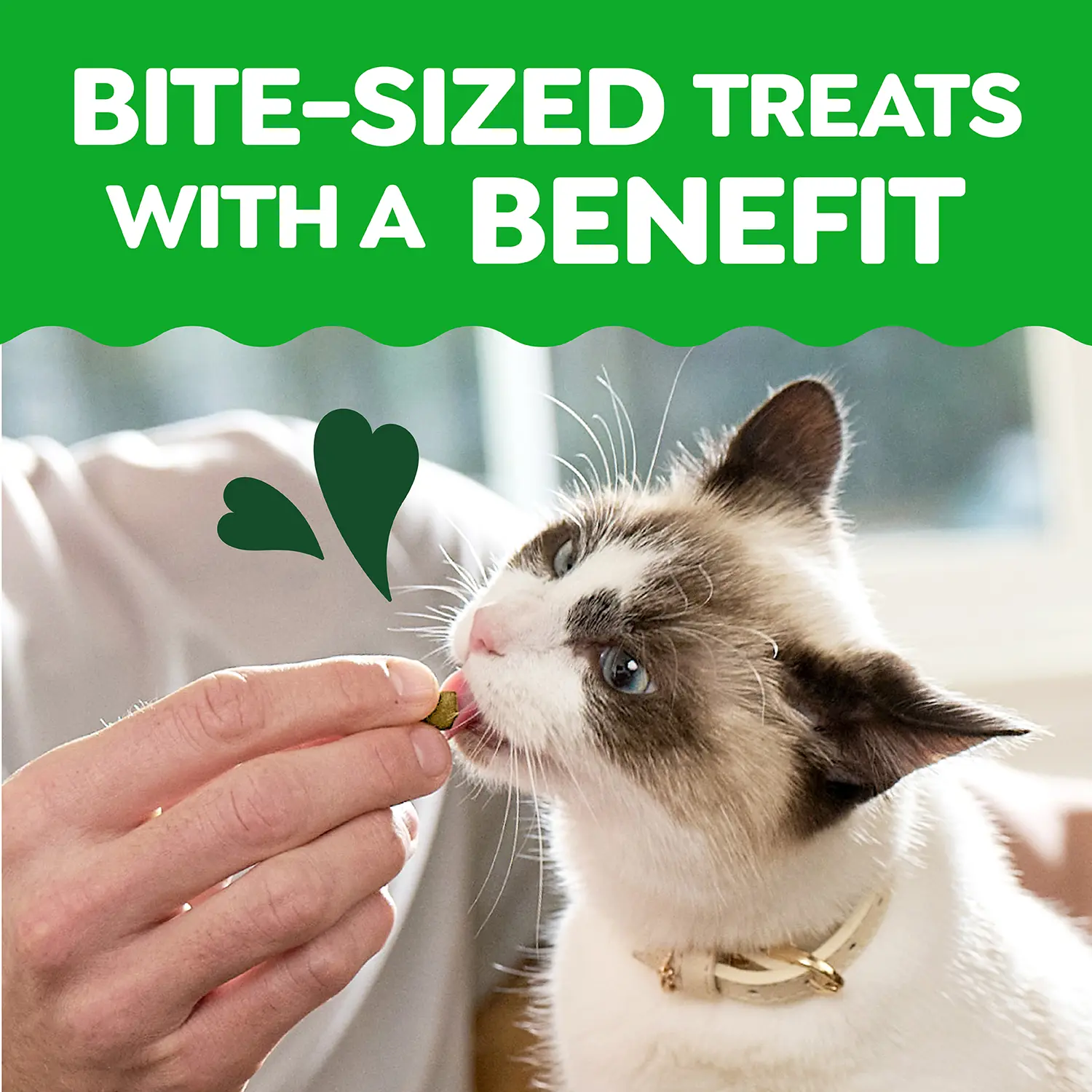 Greenies Feline SmartBites Chicken Healthy Kitten Treats 2.1-oz - Image 11