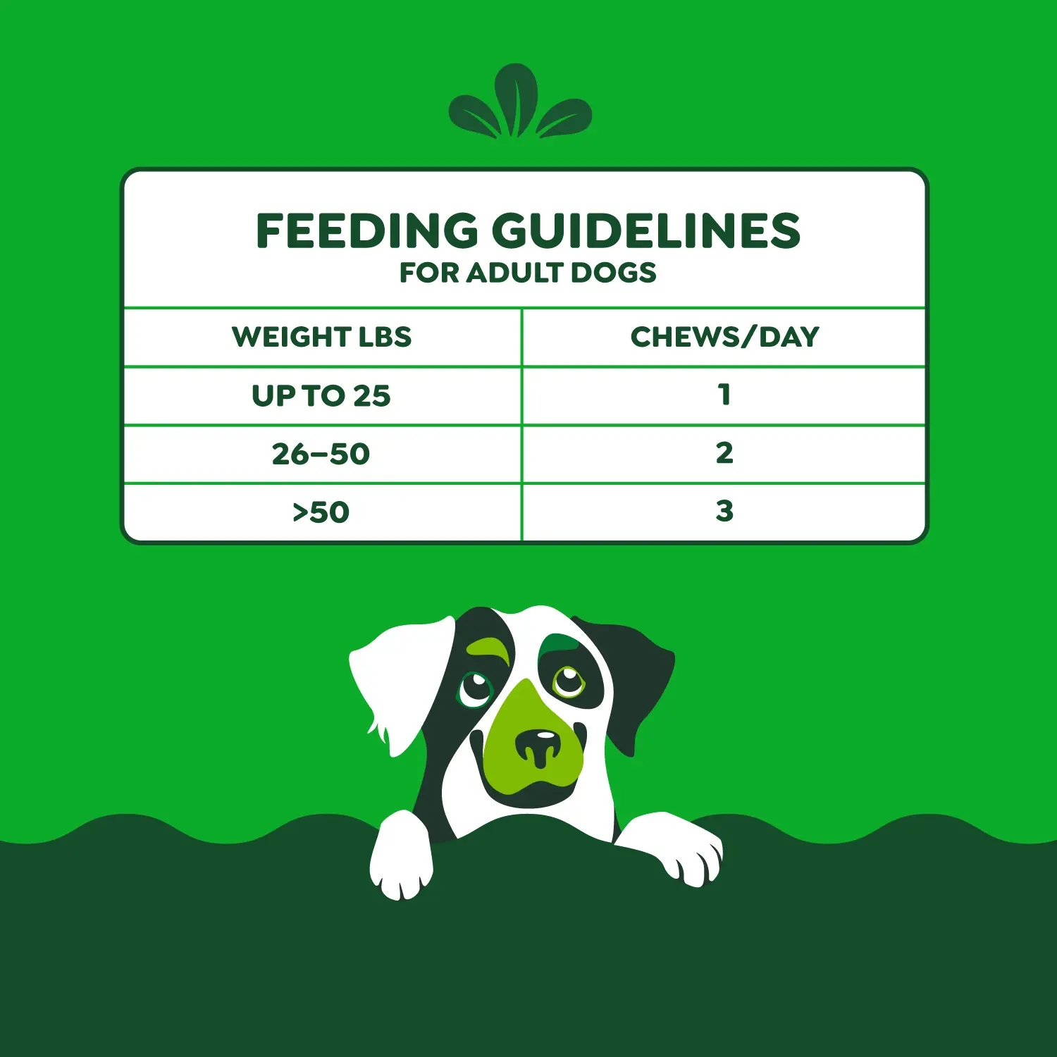 Greenies Hip & Joint Supplement Soft Chews for Adult Dogs Chicken Flavor 30 Count 6.08-oz - Image 11