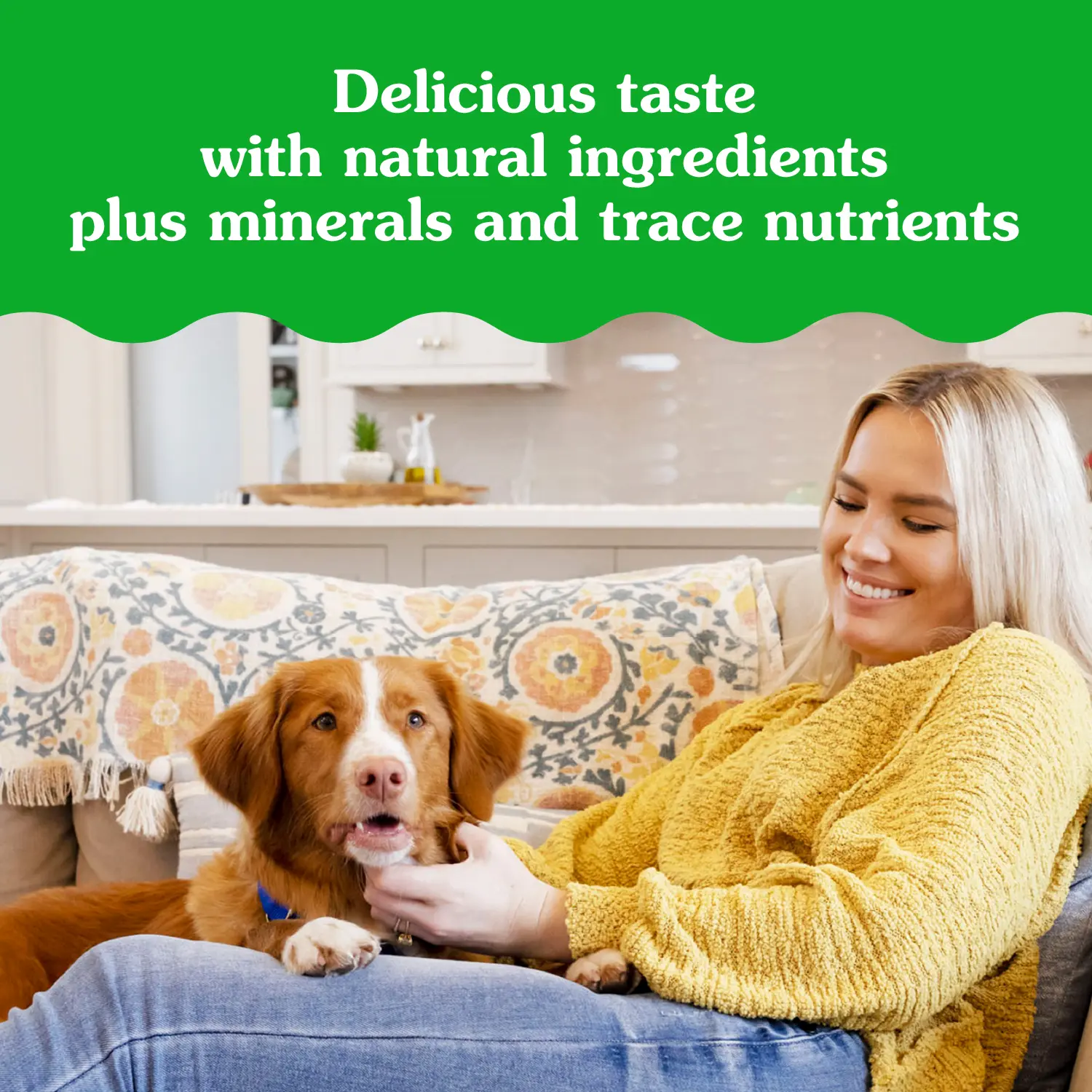 Greenies Tablet Pill Pockets Dog Treats Chicken 3.2-oz 30 Count - Image 11