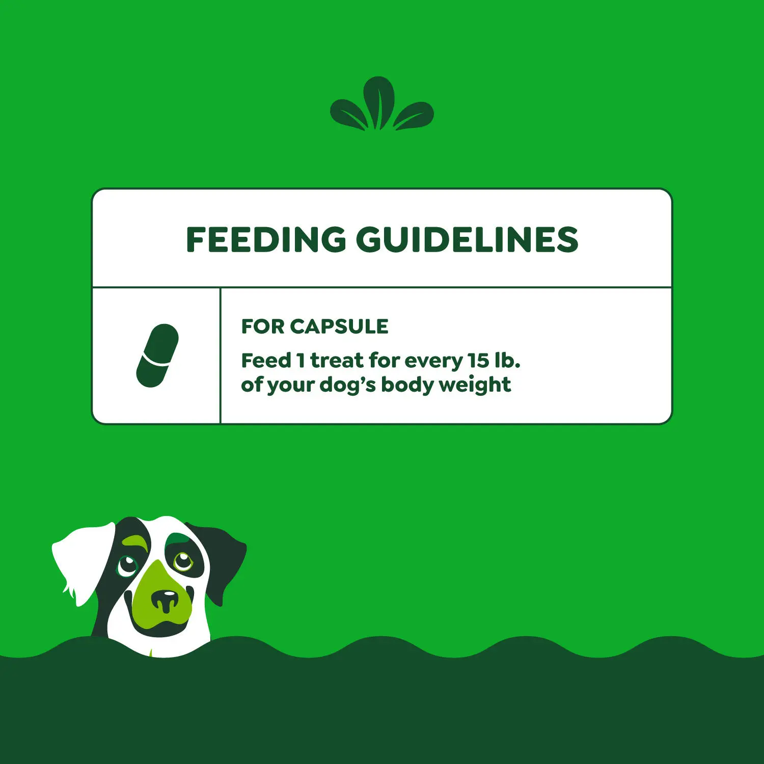 Greenies Capsule Pill Pockets Dog Treats Hickory Smoke 15.8-oz 60 Count - Image 8