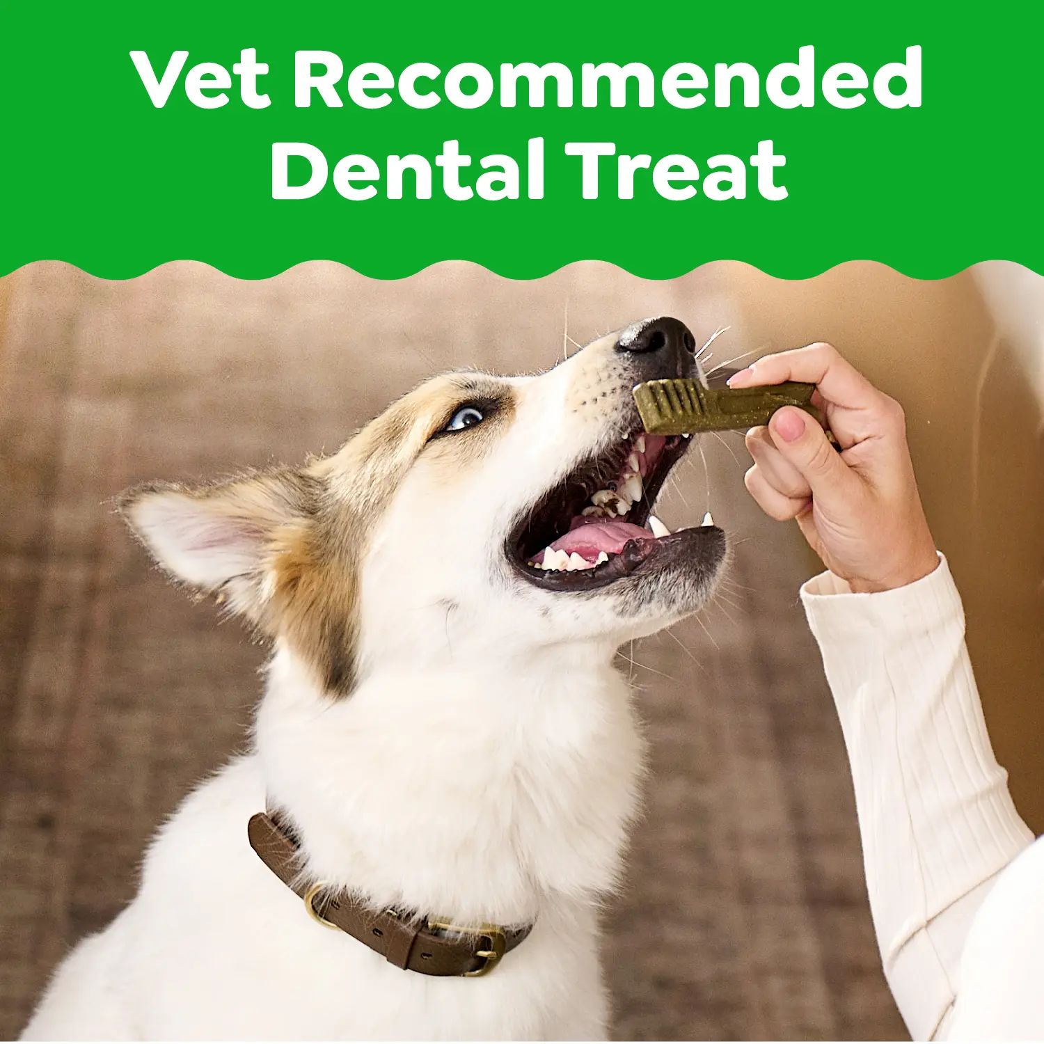 Greenies Blueberry Dog Dental Treats Teenie 12-oz 43 Count - Image 10