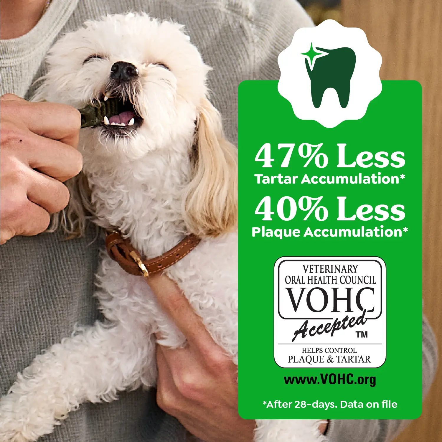 Greenies Weight Management Dog Dental Treats Petite 45 Count 27-oz - Image 8
