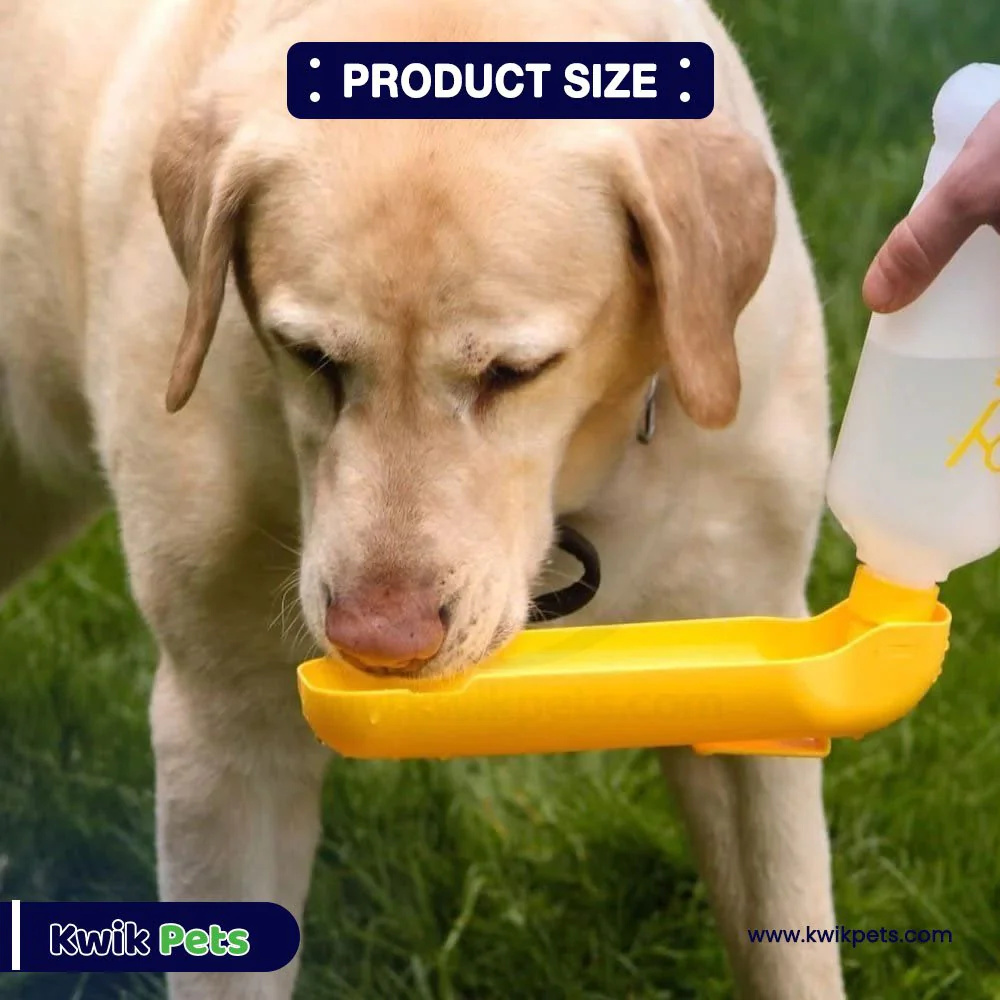 Gulpy Pet Water Dispenser 10-oz - Image 8