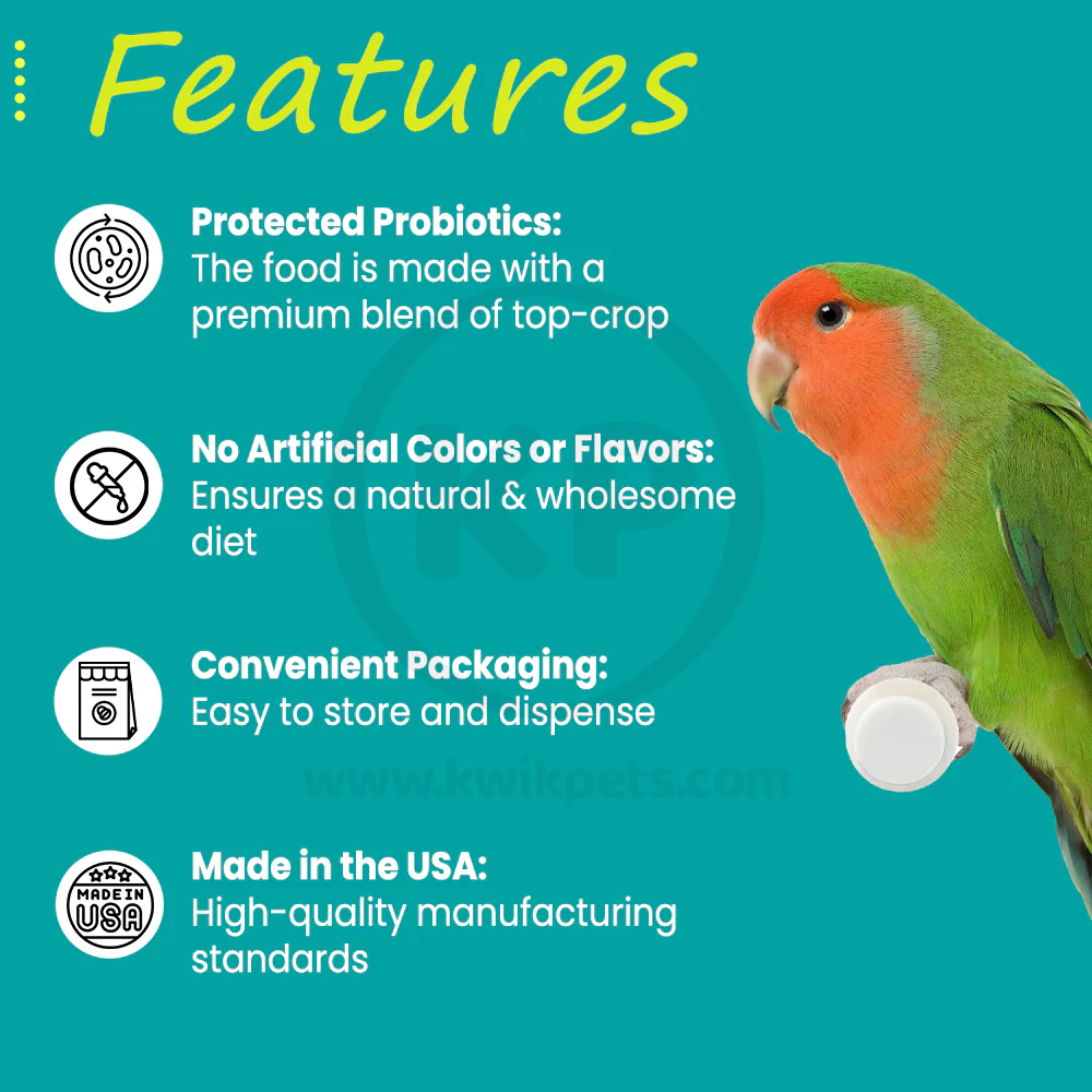Higgins inTune Harmony Conure & Cockatiel Bird Food 2-lb - Image 2