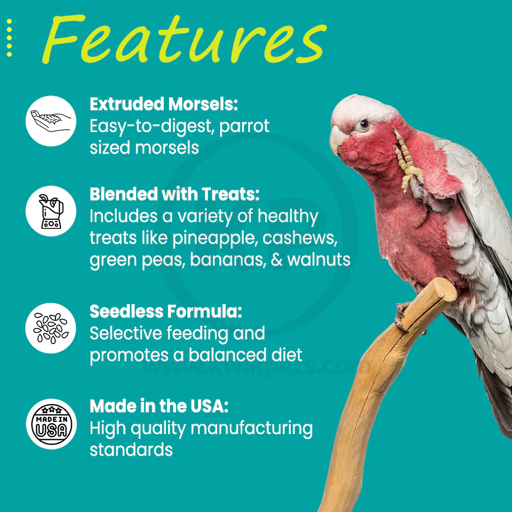 Higgins inTune Harmony Parrot & Large Bird Food 3-lb - Image 3
