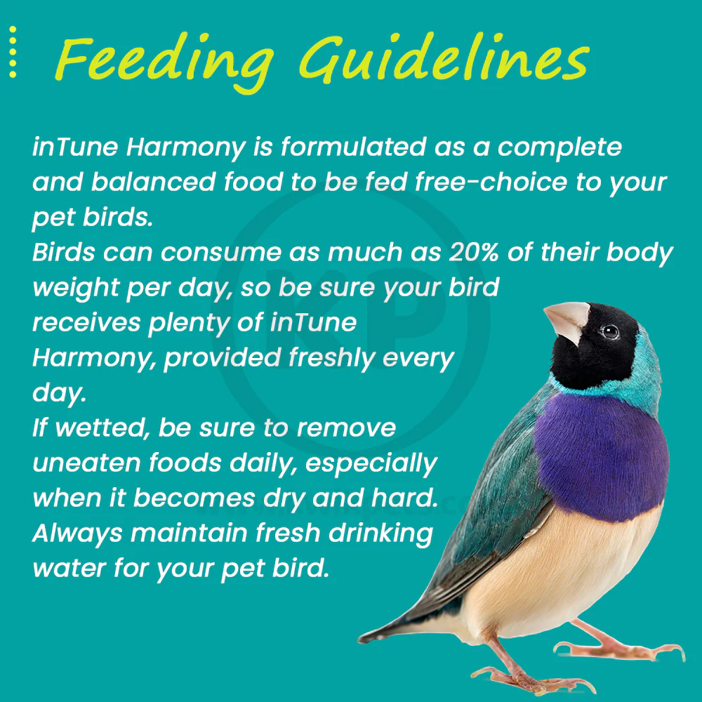 Higgins inTune Harmony Parrot & Large Bird Food 3-lb - Image 6