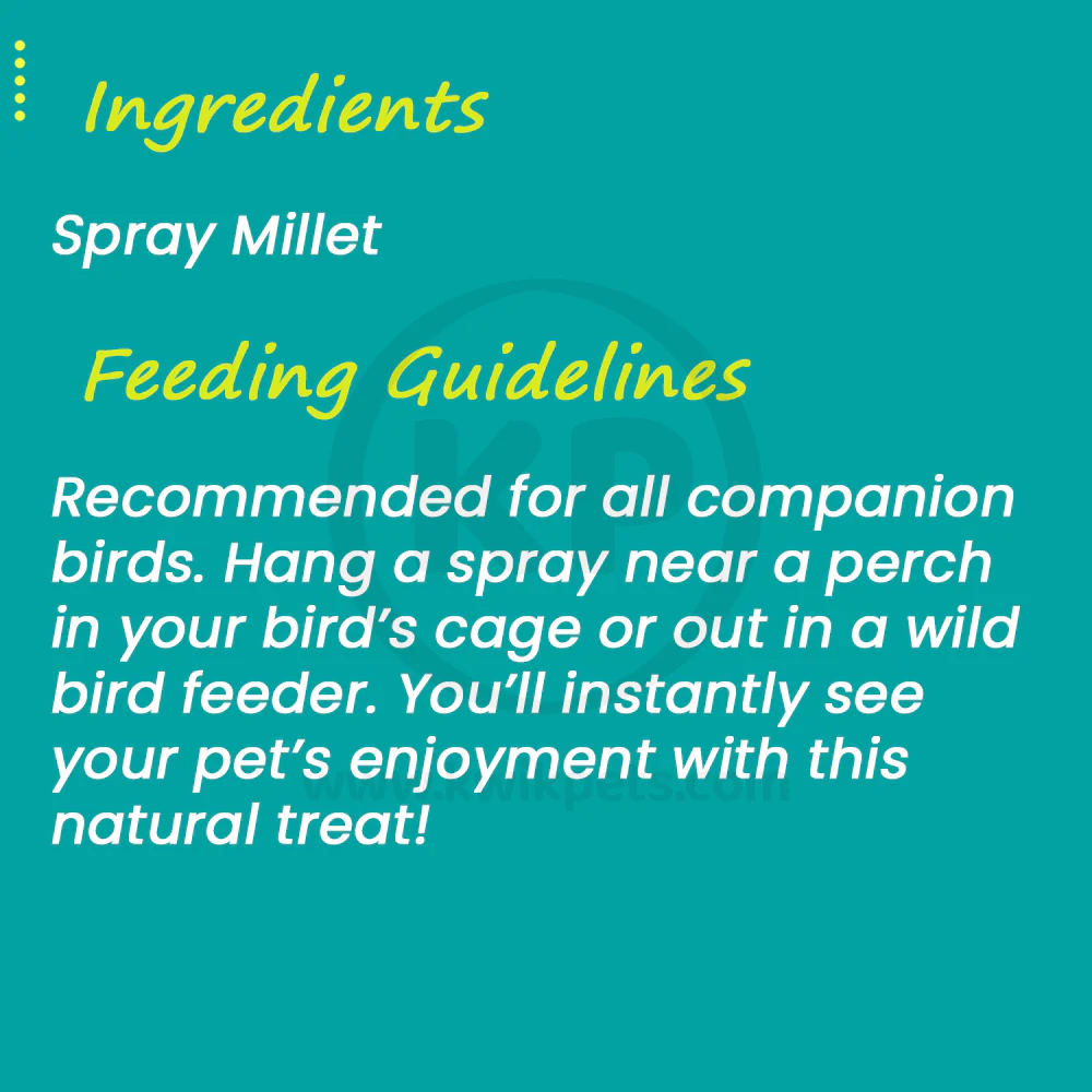 Higgins Spray Millet Natural Bird Treats 12 Count - Image 3
