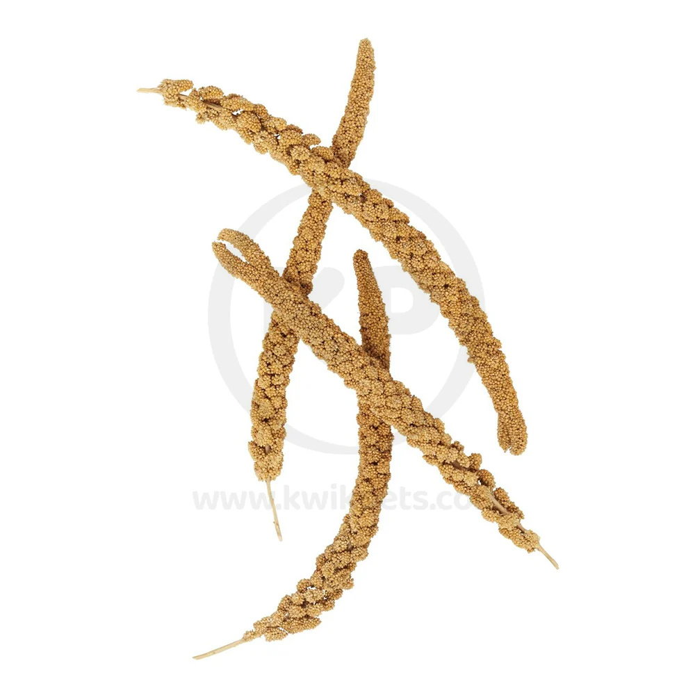 Higgins Spray Millet Natural Bird Treats 12 Count - Image 4