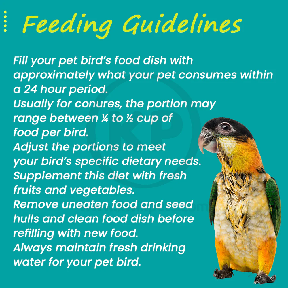 Higgins Sunburst Gourmet Blend Conure Bird Food 3-lb - Image 6