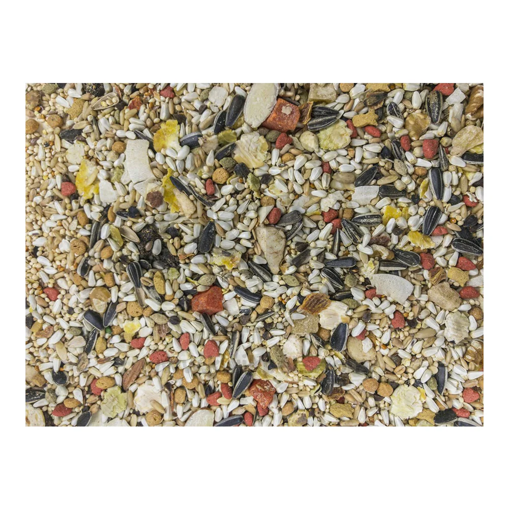 Higgins Sunburst Gourmet Blend Conure Bird Food 3-lb - Image 8