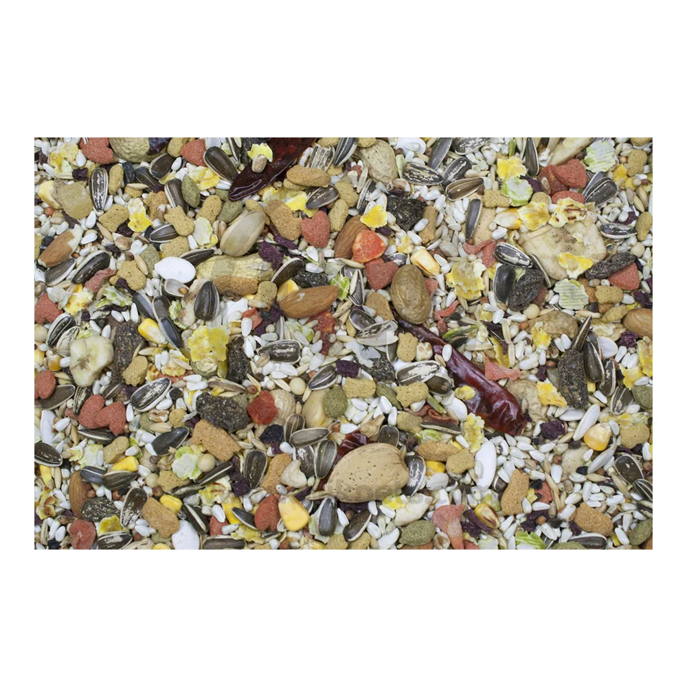 Higgins Sunburst Gourmet Blend Parrot Bird Food 3-lb - Image 8