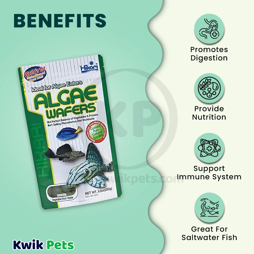 Hikari USA Rapidly Sinking Algae Wafers Fish Food 8.8-oz - Image 4