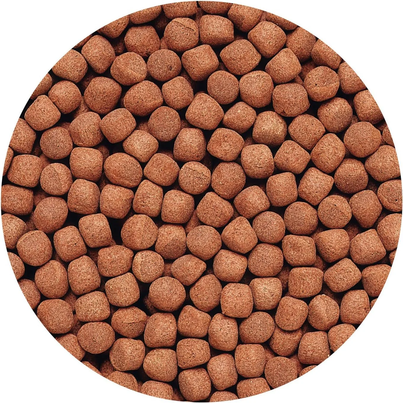 Hikari USA Cichlid Gold Floating Large Pellets Fish Food 2-oz - Image 4