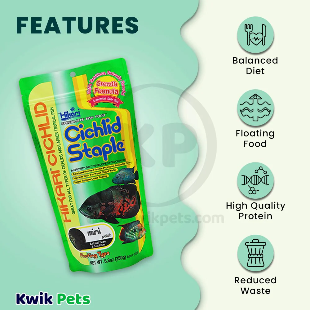 Hikari USA Cichlid Staple Floating Mini Pellets Fish Food 8.8-oz - Image 3
