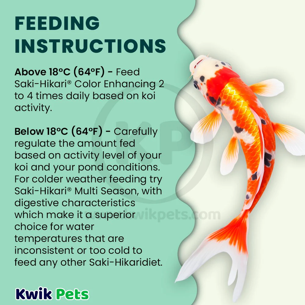 Hikari USA Saki-Hikari Color Enhancing Floating Medium Pellets Fish Food for Koi 4.4-lb - Image 5