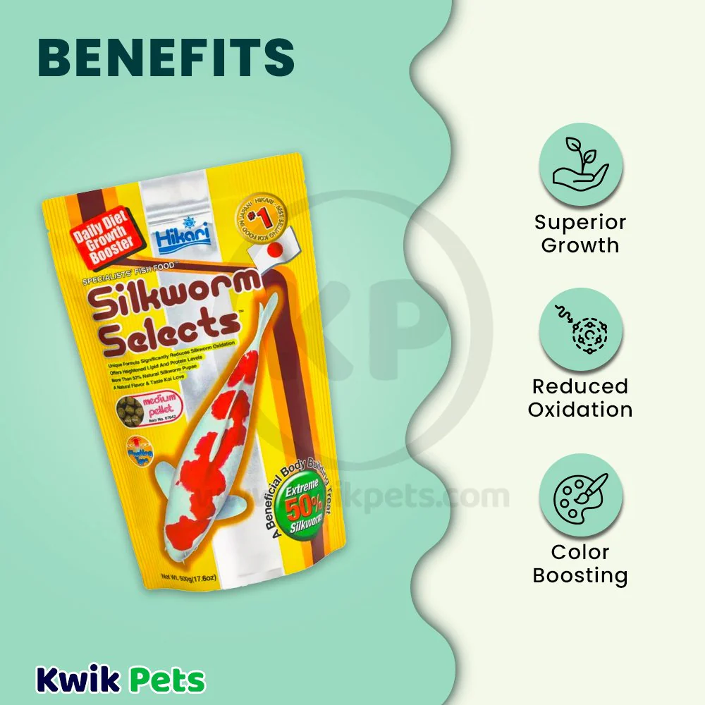 Hikari USA Silkworm Selects Color Boosting Floating Medium Pellets Fish Food for Koi 17.6-oz - Image 3