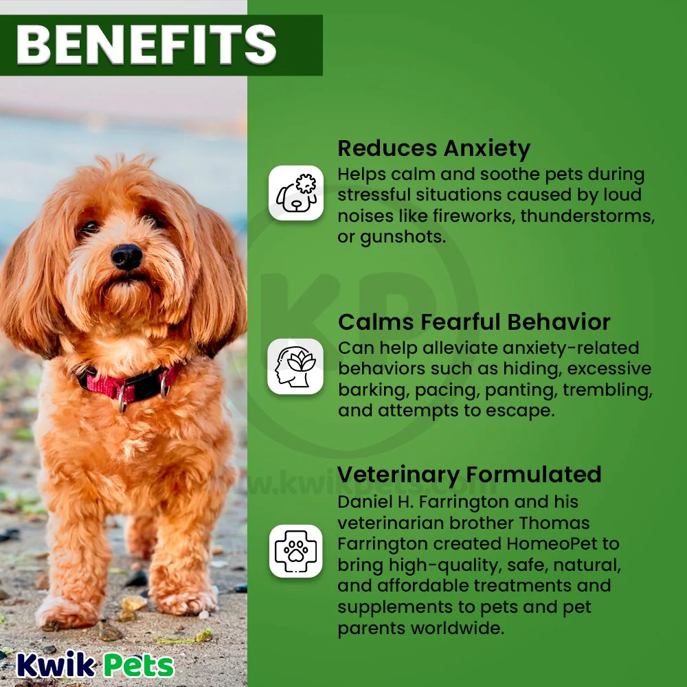 HomeoPet Fireworks Anxiety Supplement for All Pets 15 ml - Image 4