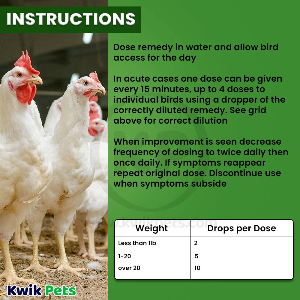 HomeoPet Avian Nose Relief Supplement for Birds 15 ml - Image 6