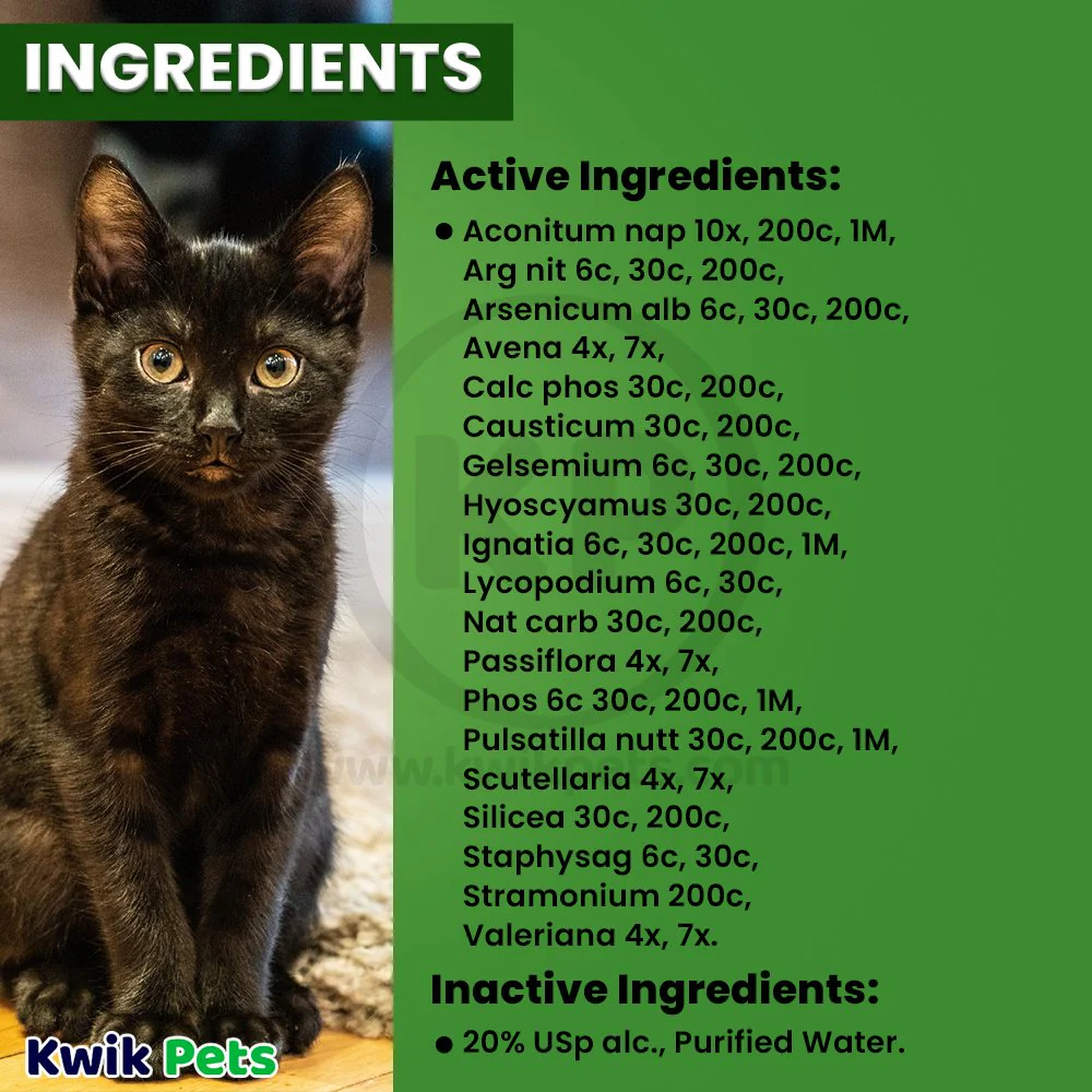 HomeoPet Feline Anxiety Relief Calming Supplement for Cats 15 ml - Image 5