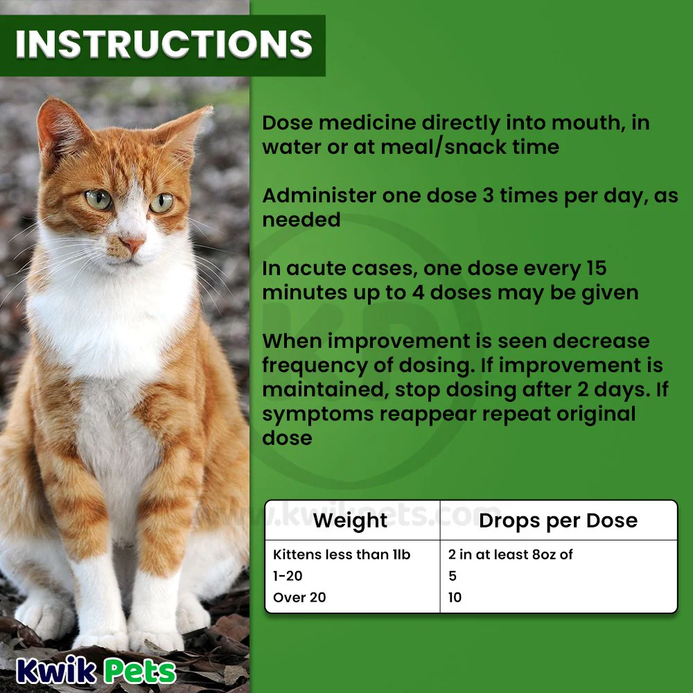 HomeoPet Feline Anxiety Relief Calming Supplement for Cats 15 ml - Image 6