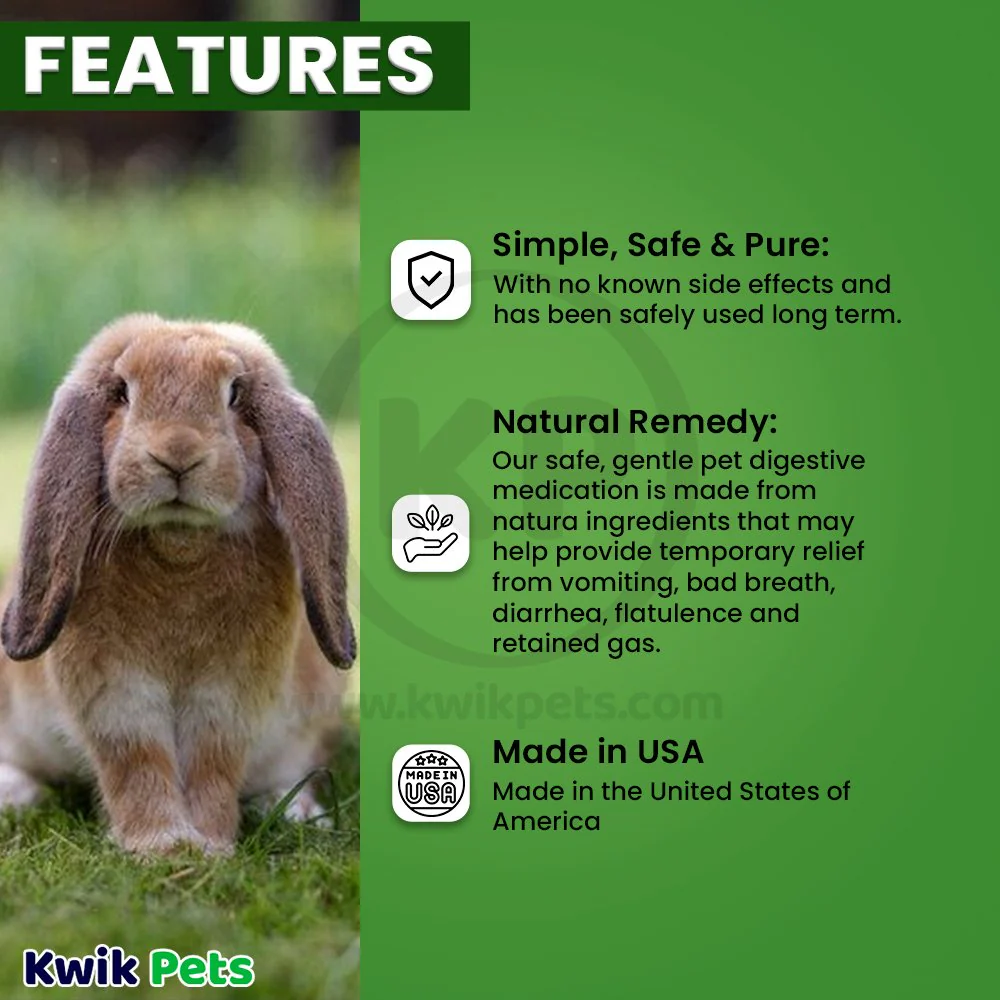 HomeoPet Digestive Upsets Supplement for All Pets 15 ml - Image 3