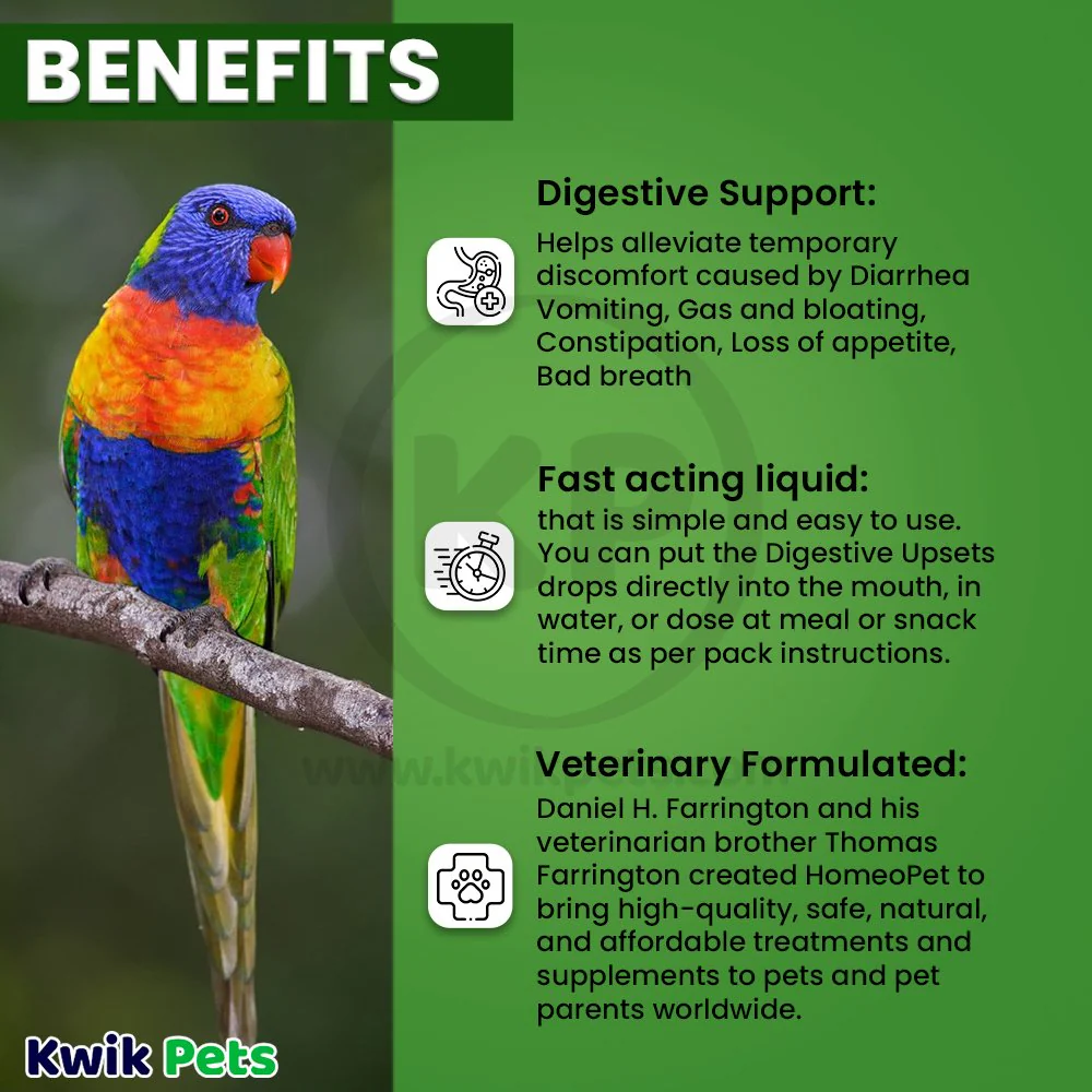HomeoPet Digestive Upsets Supplement for All Pets 15 ml - Image 4