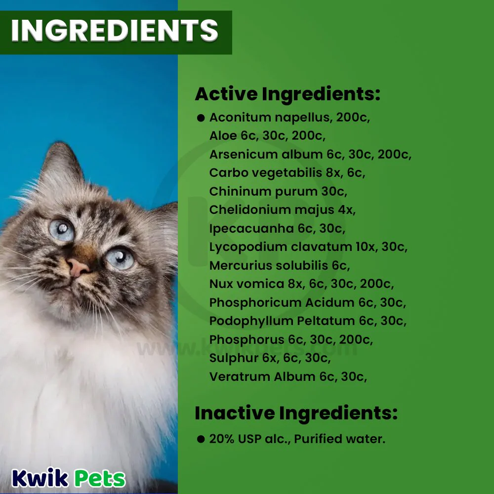 HomeoPet Digestive Upsets Supplement for All Pets 15 ml - Image 5