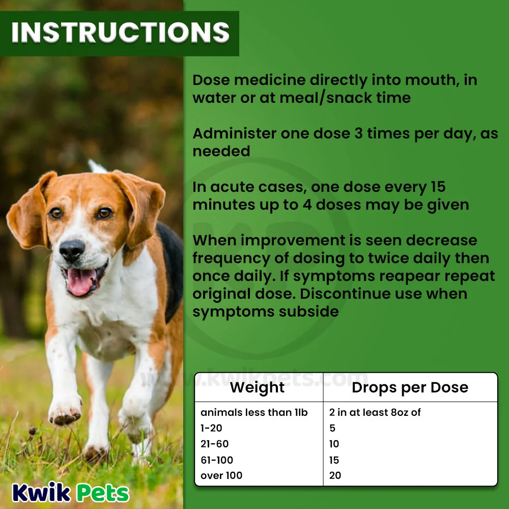 HomeoPet Digestive Upsets Supplement for All Pets 15 ml - Image 6