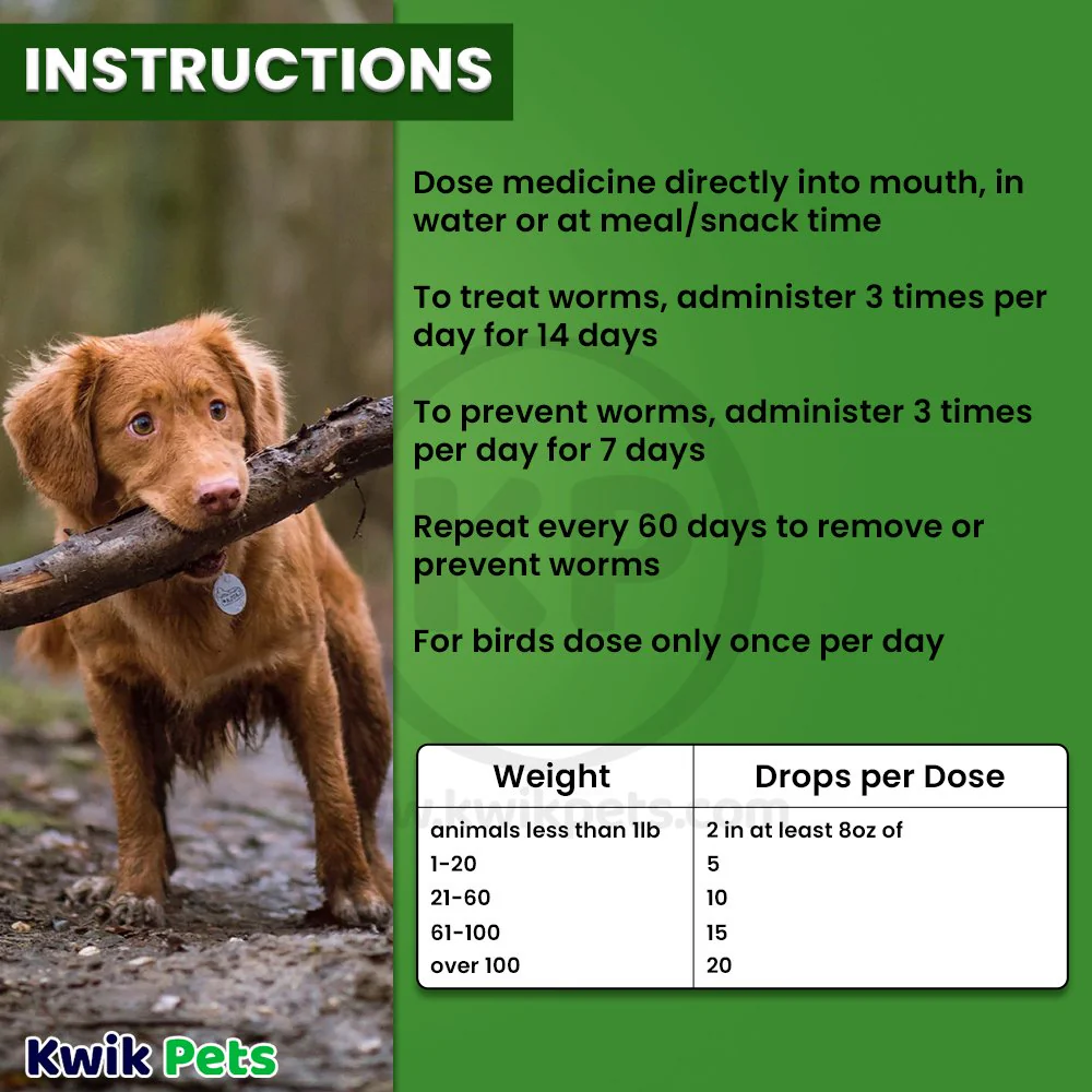 HomeoPet WRM Clear Dewormer for All Pets 15 ml - Image 6