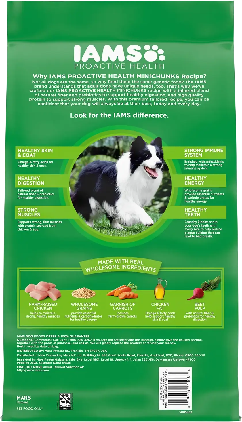 IAMS Minichunks Small Kibble High Protein Adult Dry Dog Food Real Chicken 7-lb - Image 2