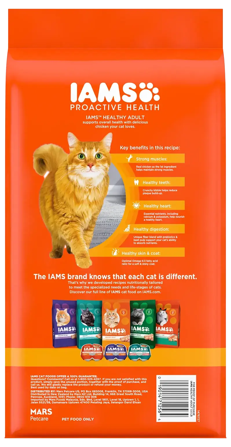 IAMS Proactive Health Adult Dry Cat Food Chicken 3.5-lb - Image 2