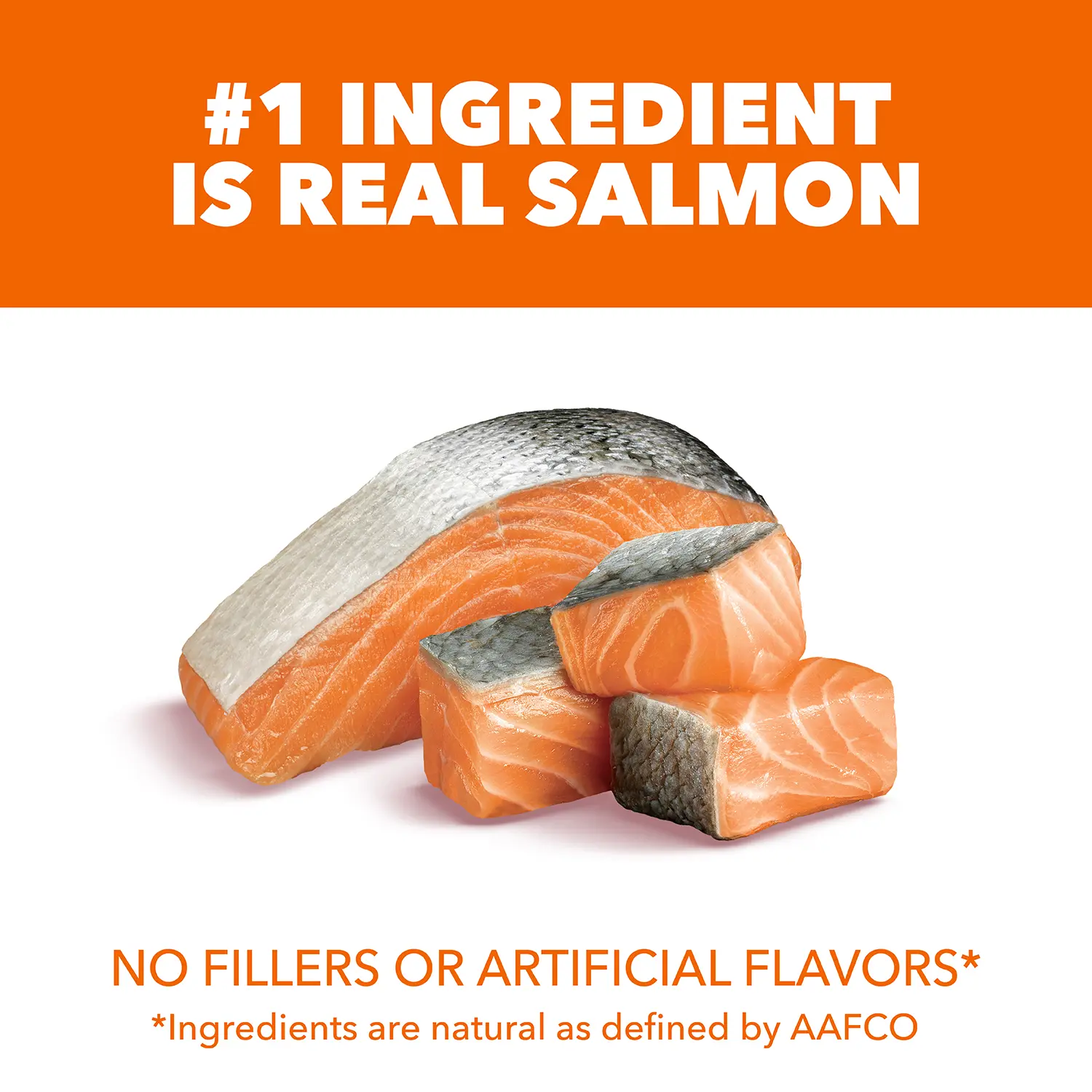 IAMS Proactive Health Adult Dry Cat Food Salmon 7-lb - Image 5