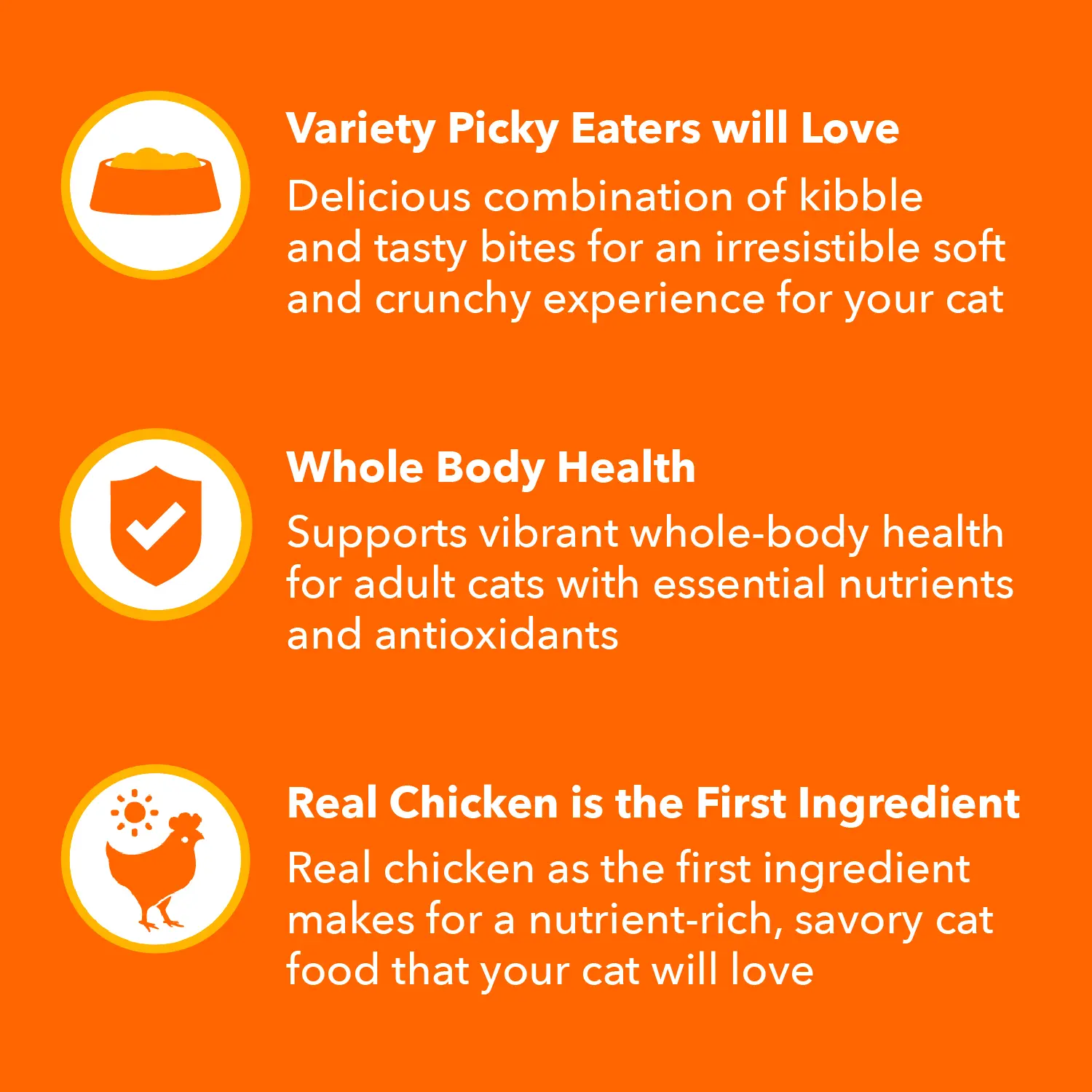 IAMS ProActive Health Healthy Enjoyment Adult Dry Cat Food Chicken & Salmon 6-lb - Image 3