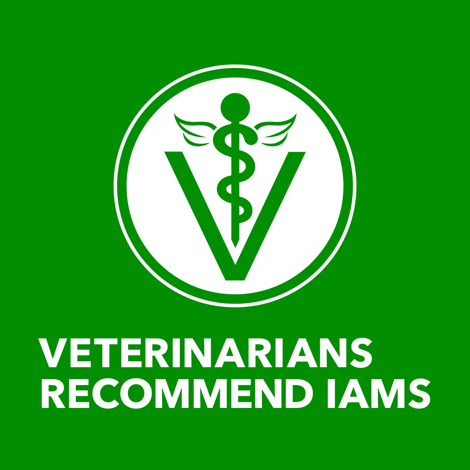 IAMS Proactive Health Adult Wet Dog Food Pate with Chicken & Rice 6 Count 13-oz - Image 10