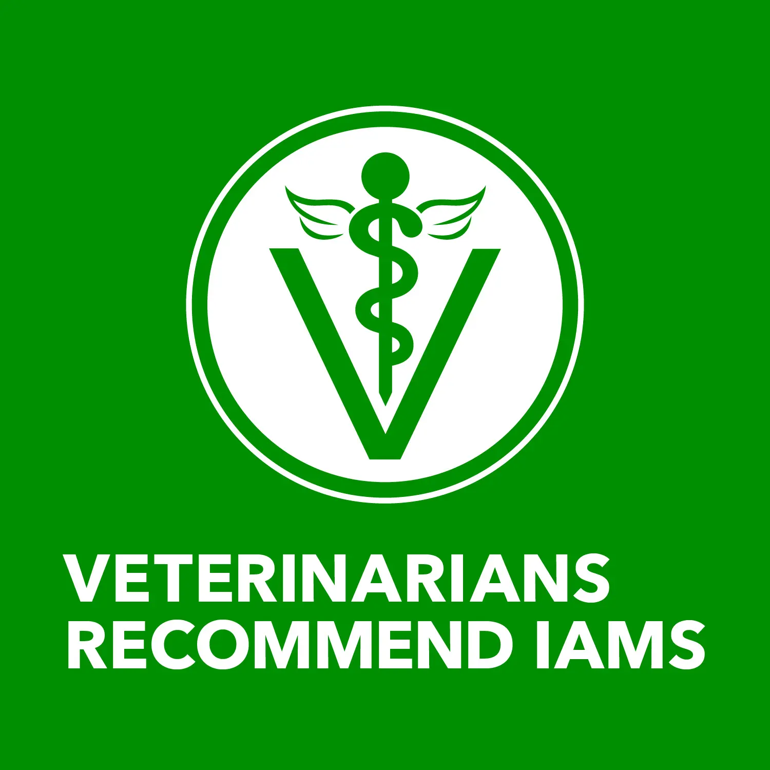 IAMS Proactive Health Adult Wet Dog Food Pate with Lamb & Rice 6 Count 13-oz - Image 12