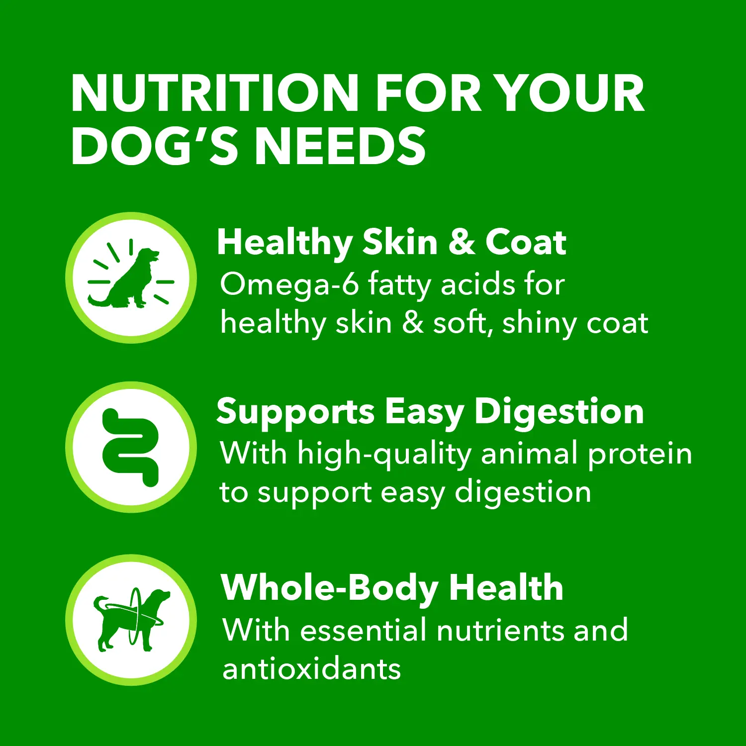 IAMS Proactive Health Adult Wet Dog Food Pate with Lamb & Rice 6 Count 13-oz - Image 5