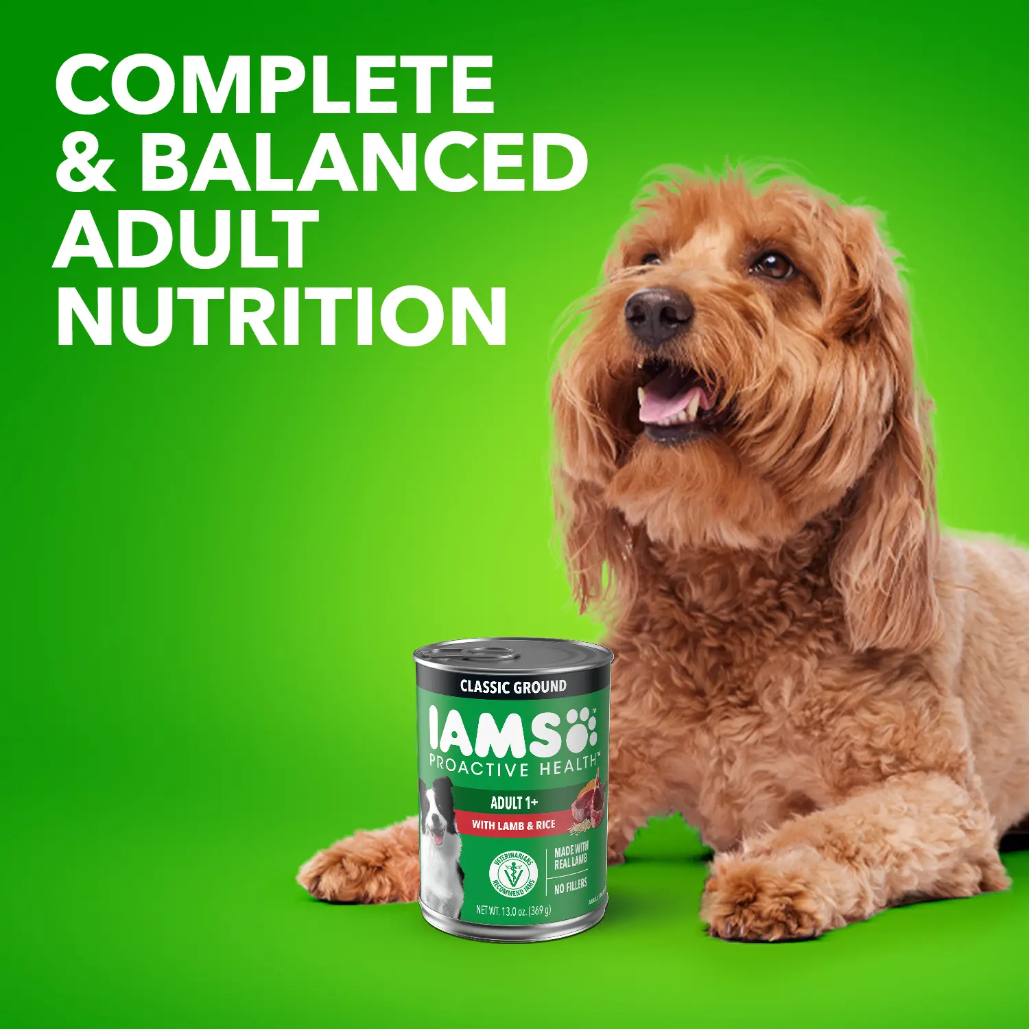 IAMS Proactive Health Adult Wet Dog Food Pate with Lamb & Rice 6 Count 13-oz - Image 6
